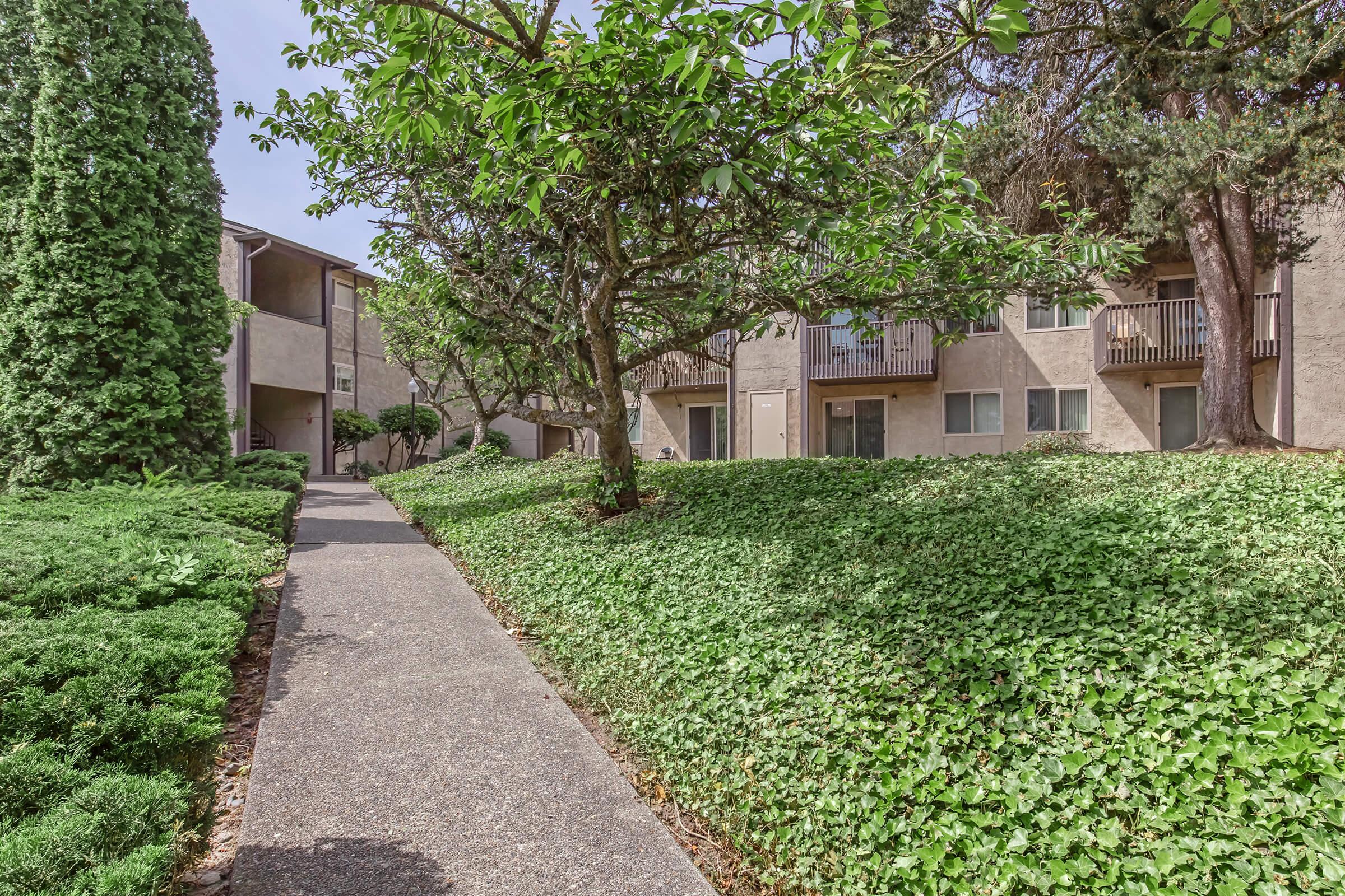 A walkway lined with lush greenery and small trees leads to a row of apartment buildings. The scene features manicured shrubs and ivy covering the ground, with light filtering through the leaves, creating a peaceful and inviting atmosphere.