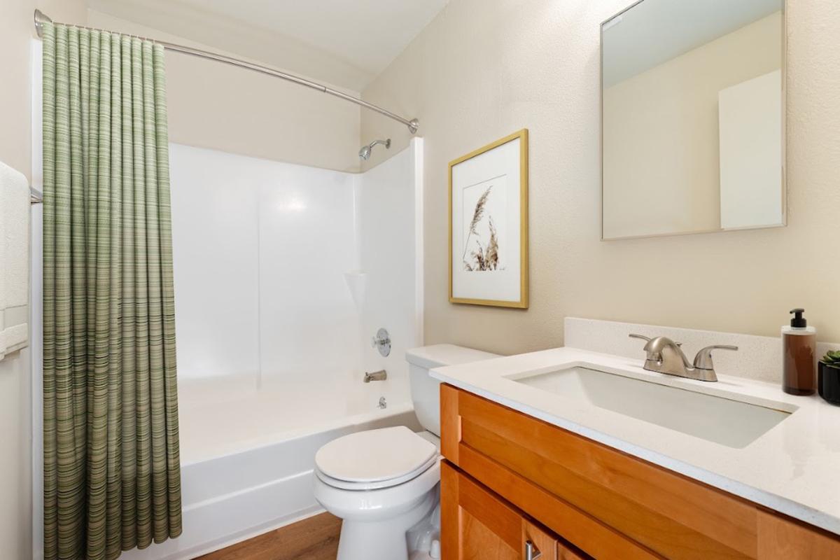 A clean and modern bathroom featuring a white bathtub with a shower curtain in green stripes, a sleek vanity with a white countertop, a mirror above the sink, and wooden cabinetry. A potted plant and a soap dispenser are visible on the counter, with soft lighting enhancing the space.