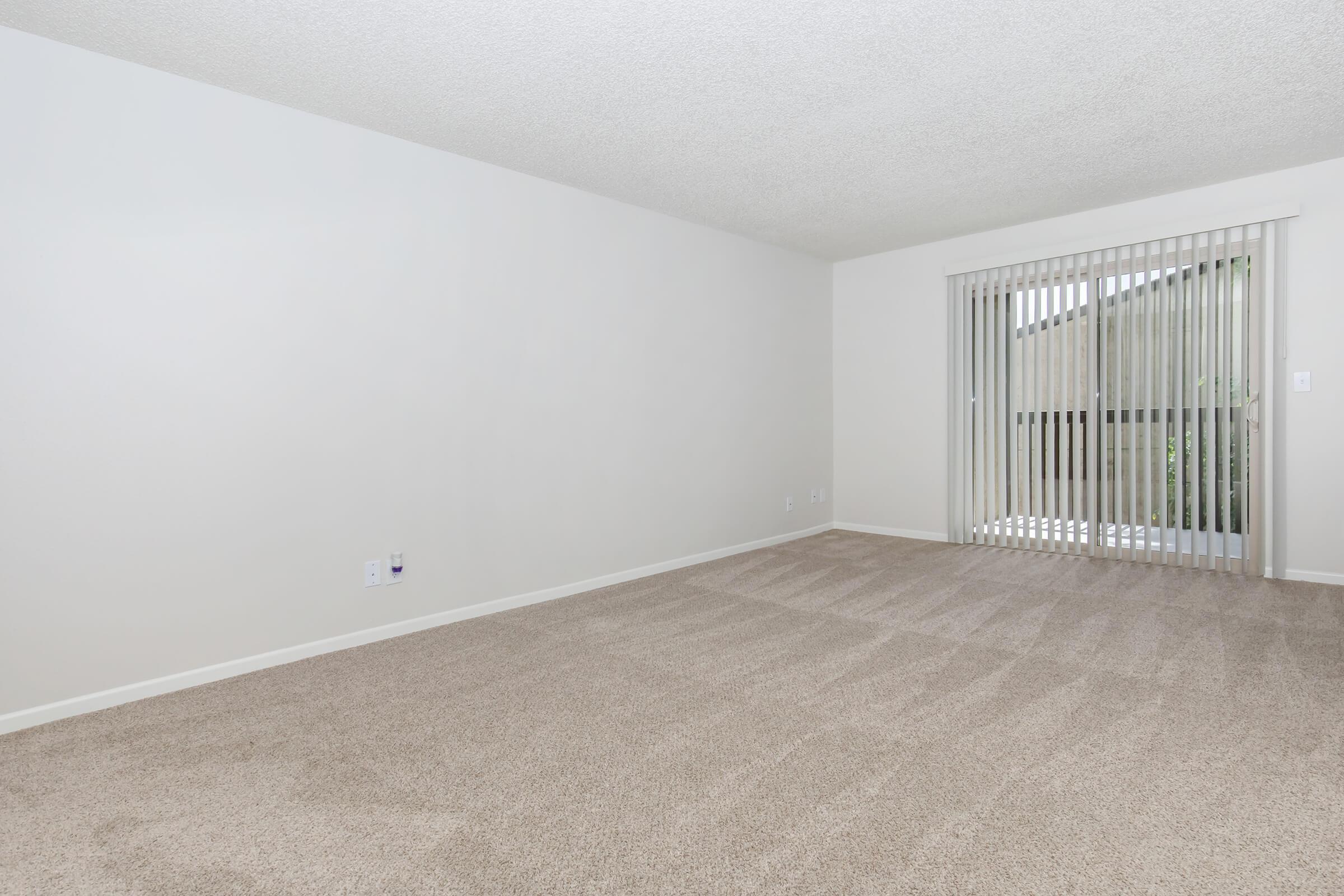 A spacious, empty living room with light beige carpet and plain white walls. There is a sliding glass door with vertical blinds that leads to an outdoor area. The room has a bright and airy feel, with natural light coming through the door.