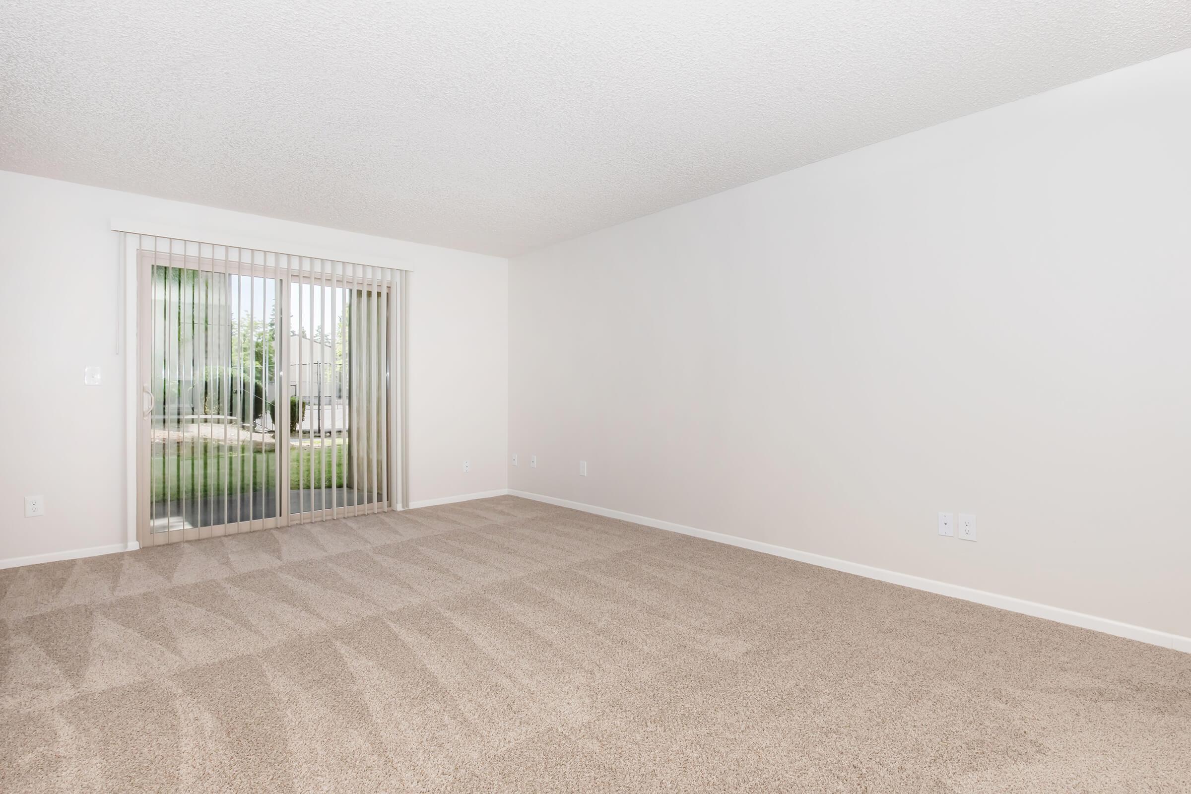 Empty room with beige carpet and white walls, featuring a sliding glass door with vertical blinds that leads to an outdoor space. The room is well-lit with natural light coming from the door, creating a spacious and airy atmosphere. Ideal for personalization or decoration.
