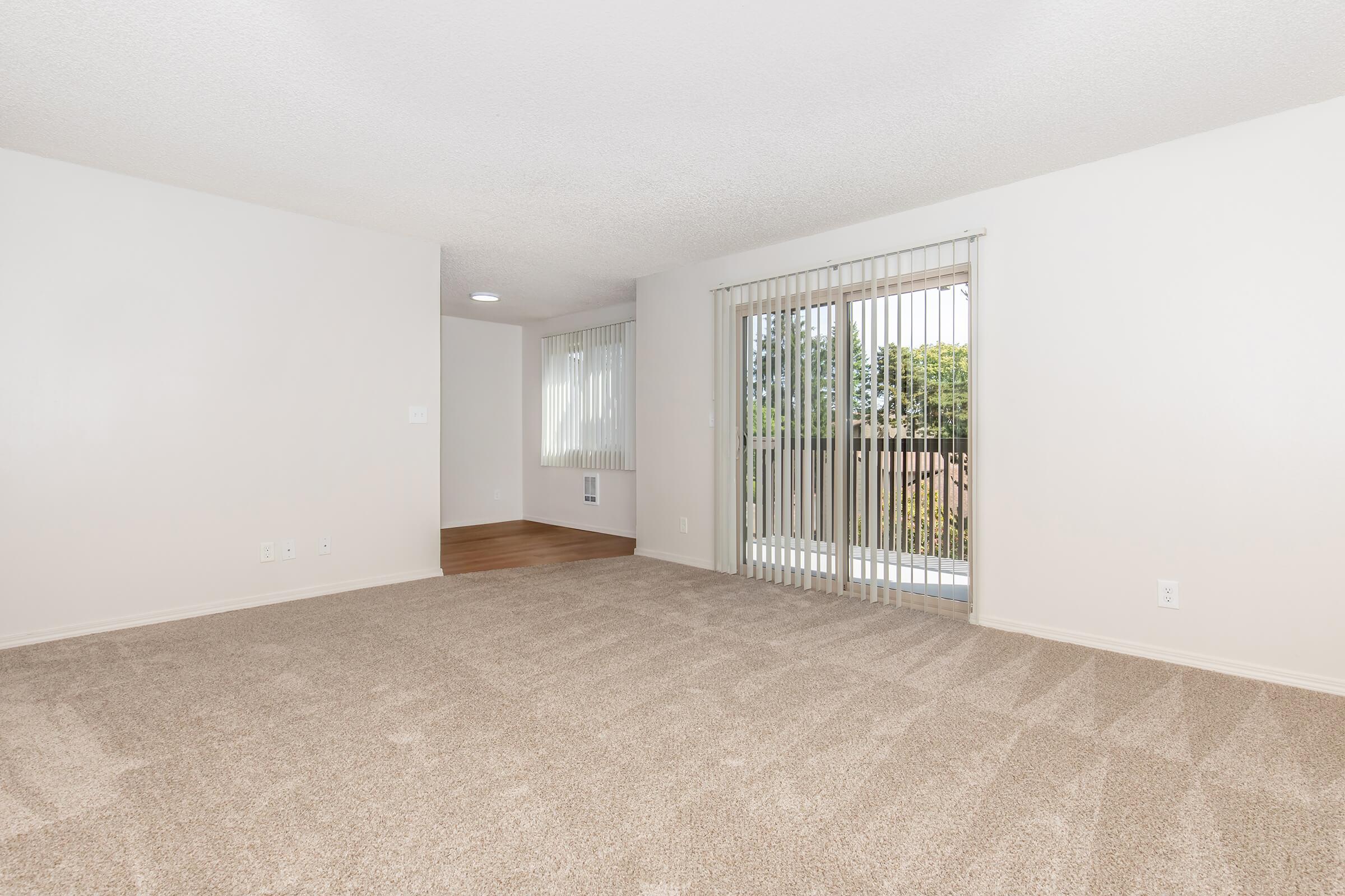Bright, empty living room with light beige carpet and white walls. Large sliding glass door leads to a balcony with vertical blinds. There's a small window on the left and a section of hardwood floor visible in the background. The space is well-lit, creating an open and airy atmosphere.