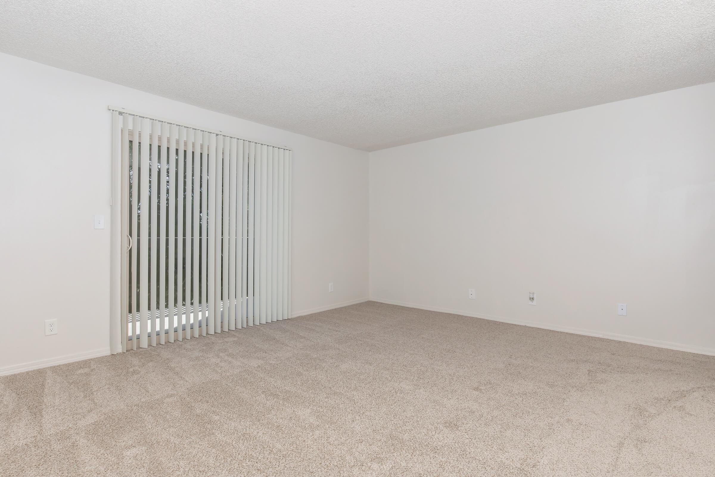 Empty room with beige carpet and light-colored walls. There is a large window with vertical blinds letting in natural light, and a door leading outside. The space appears clean and uncluttered, suitable for various uses or decor.