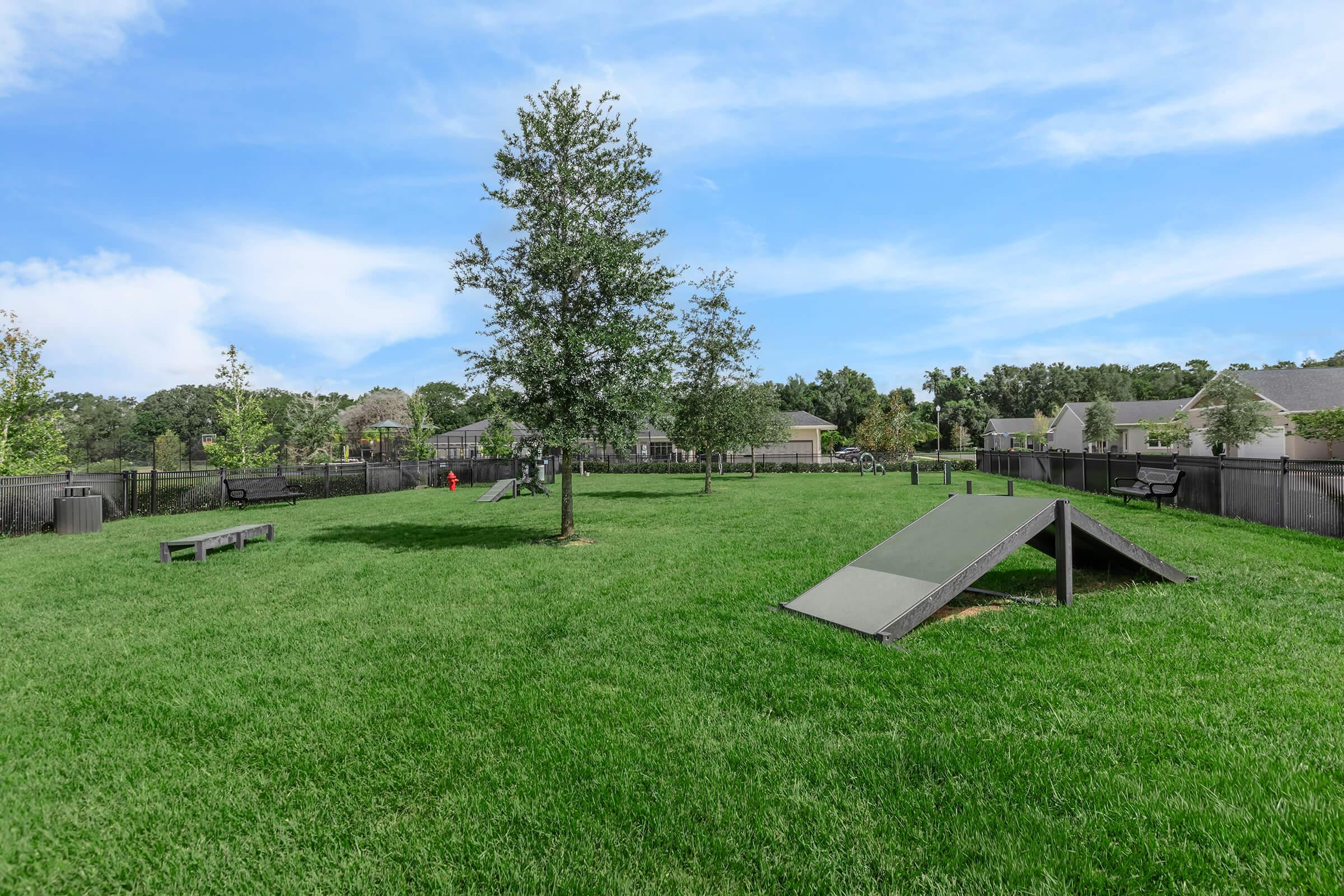 A green outdoor park area featuring a spacious lawn with a tree, agility equipment, and benches. The scene is enclosed by a fence with houses visible in the background under a clear blue sky. Ideal for recreational activities and pet play.