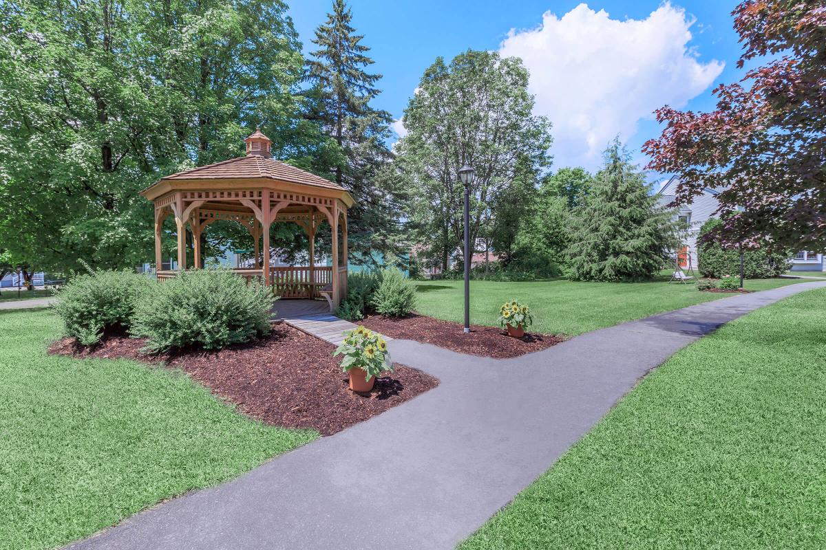 a small garden in a park