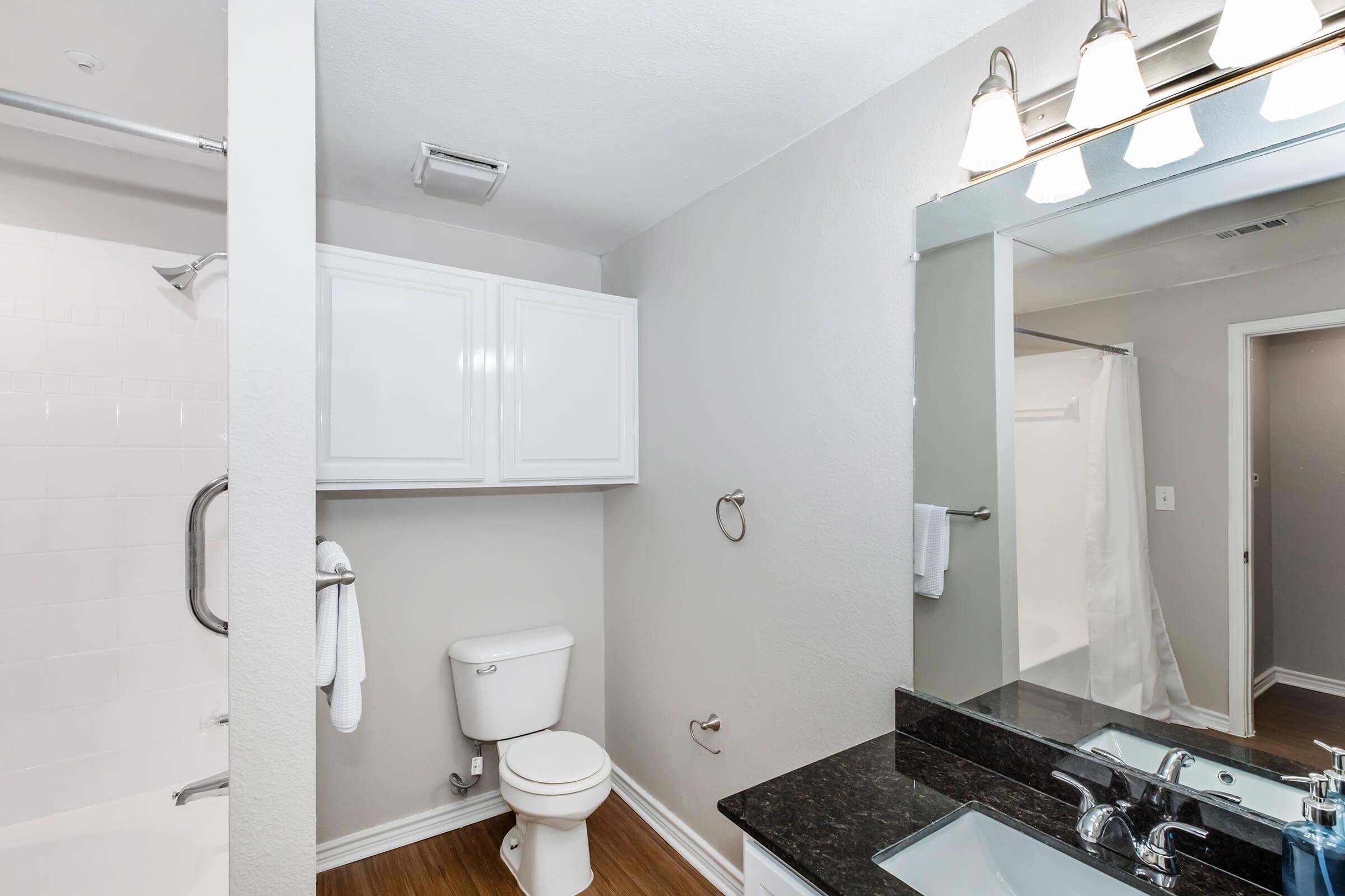 A clean and modern bathroom featuring a white toilet, a large mirror over a dark countertop sink, and storage cabinets above. The shower area is partially visible with a frosted glass door, and the walls are painted in a light neutral color. Bright overhead lighting adds to the spacious feel.
