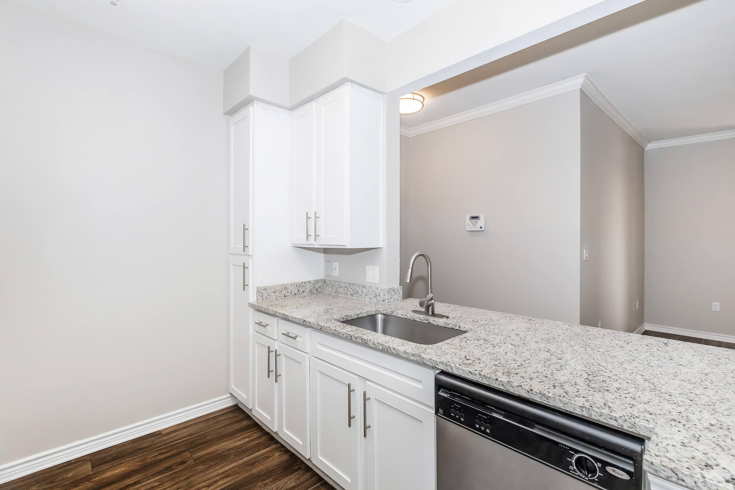 A modern kitchen with white cabinets, a granite countertop, and a stainless steel sink. The dishwasher is visible next to the sink. The walls are painted a neutral color, and there is a light fixture above. The flooring appears to be wooden.