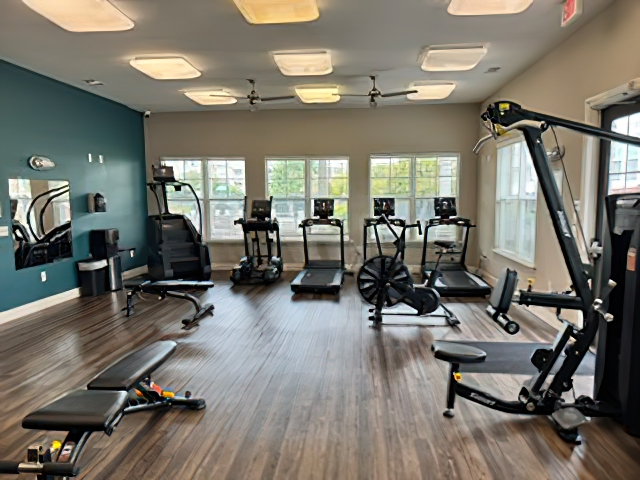 A modern gym interior featuring various exercise equipment, including treadmills, an elliptical machine, a stationary bike, and strength training machines. The space has large windows allowing natural light, hardwood flooring, and a blue accent wall.
