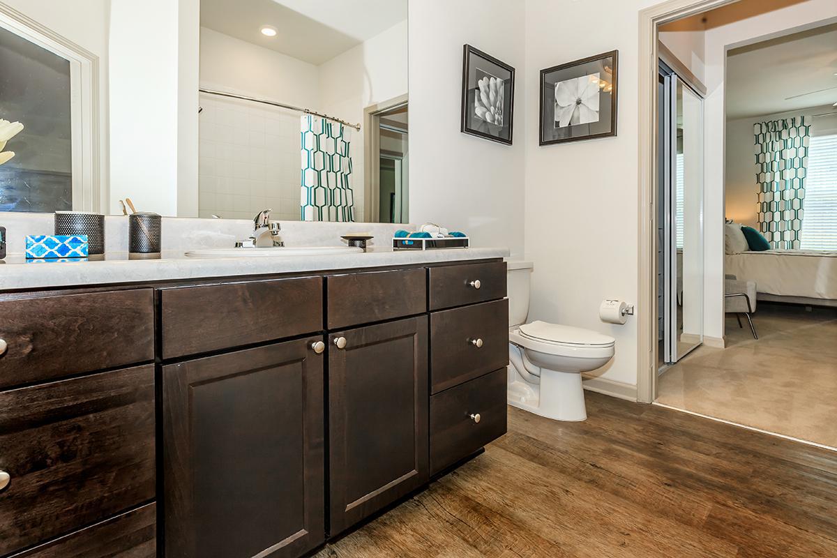 Bathroom with Custom Cabinetry at The Point at Waterford Crossing