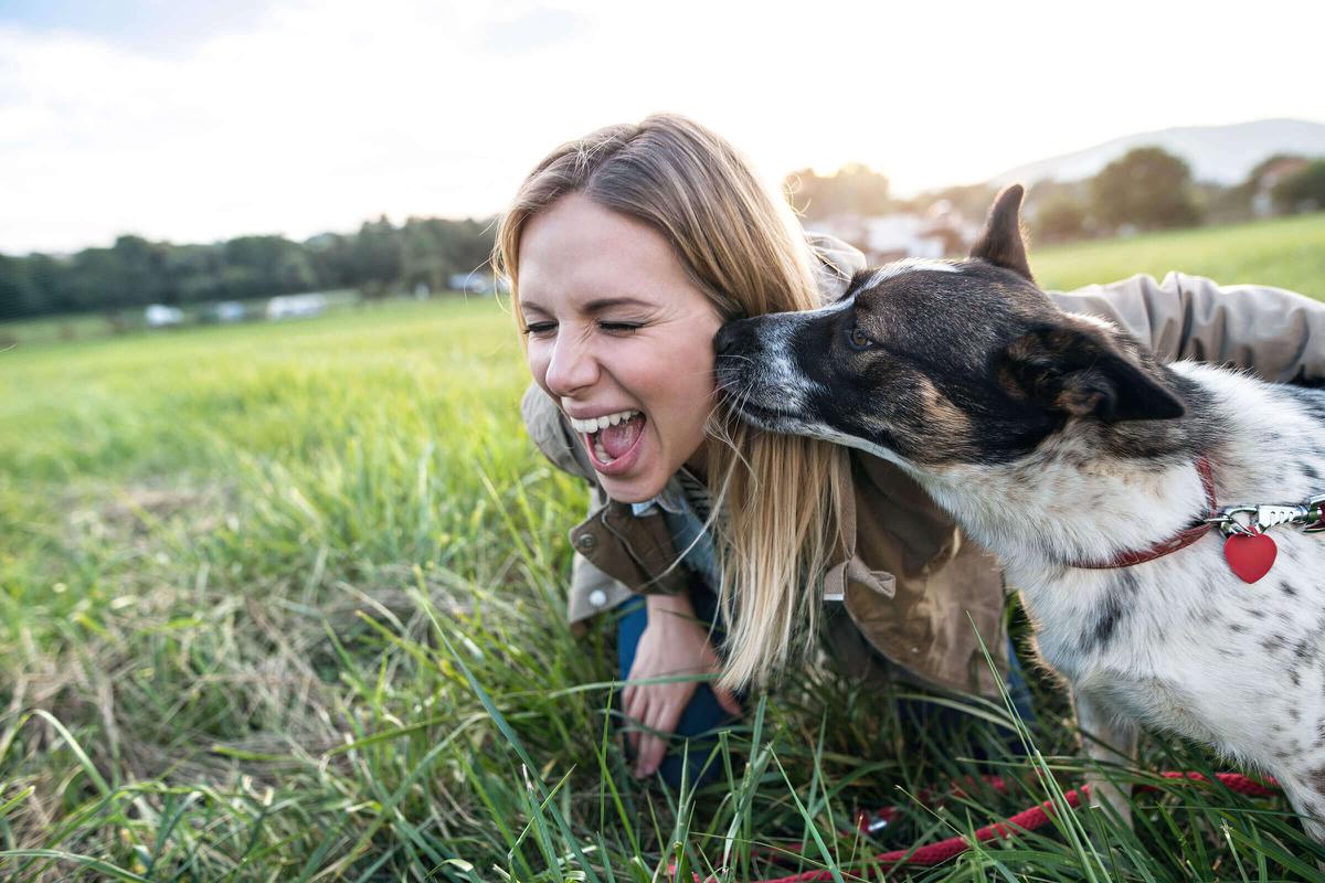 Dog-&-woman---iStock-629740534.jpg