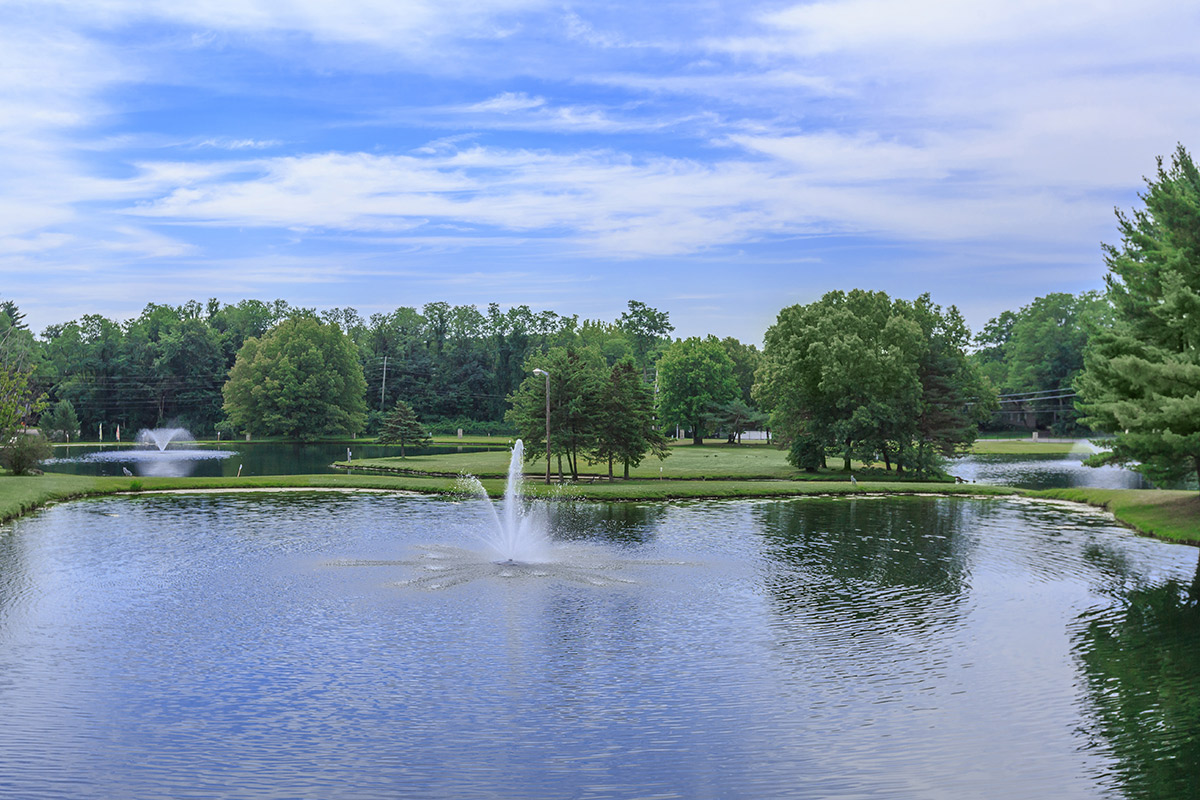 a body of water surrounded by trees