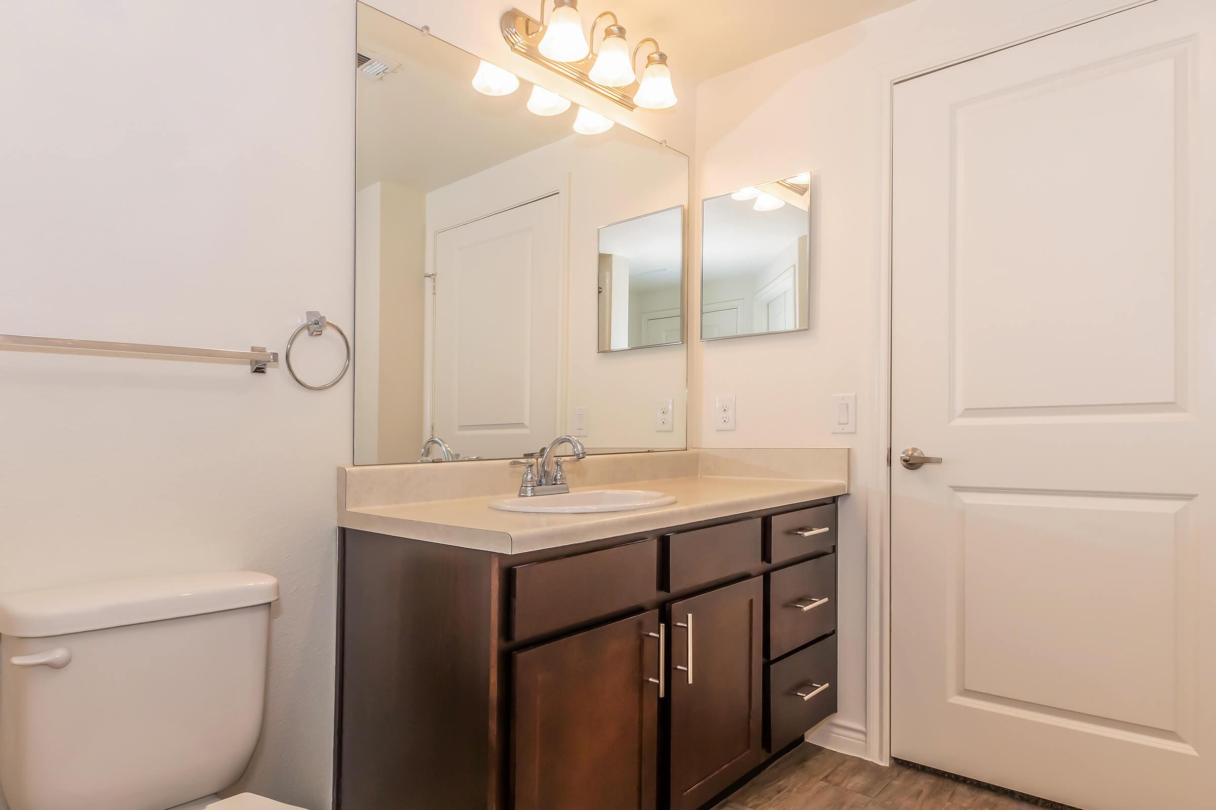 A modern bathroom featuring a single vanity with a sink, dark wood cabinetry, two mirrors above the sink, and a white toilet. The walls are painted light, and there is a white door leading to another area. Bright lighting is provided by a fixture above the mirrors.