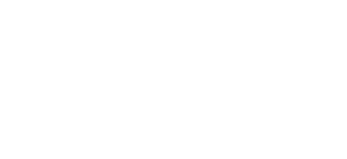 Narrows Landing Apartments ebrochure logo