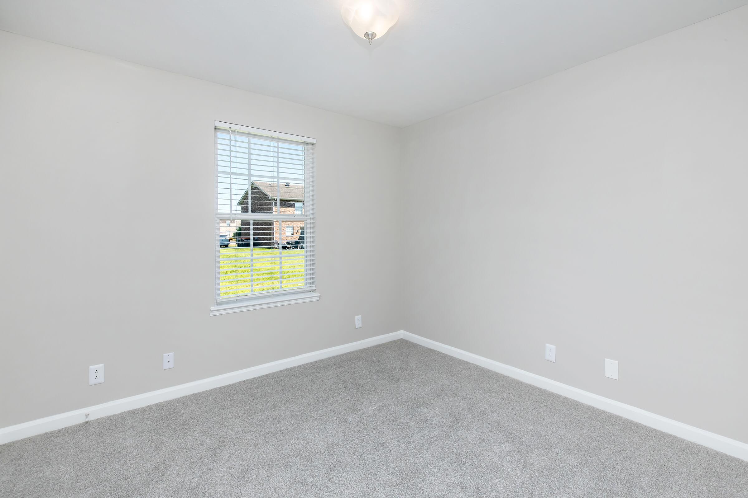 Empty room with light gray walls and carpeted flooring. A window with blinds allows natural light to enter, looking out to a grassy area outside. The ceiling features a light fixture, and there are electrical outlets on the walls. The space is minimally decorated, creating a clean, simple atmosphere.