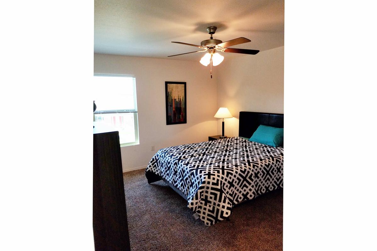 CEILING FANS AND PLUSH CARPETS IN BEDROOM
