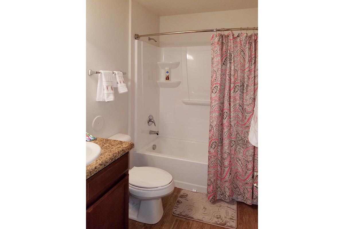 a brown and white shower curtain