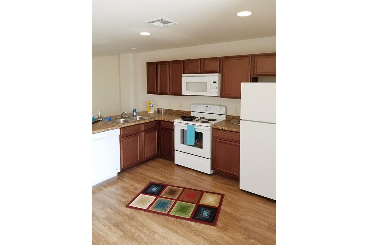 Modern beautiful kitchen