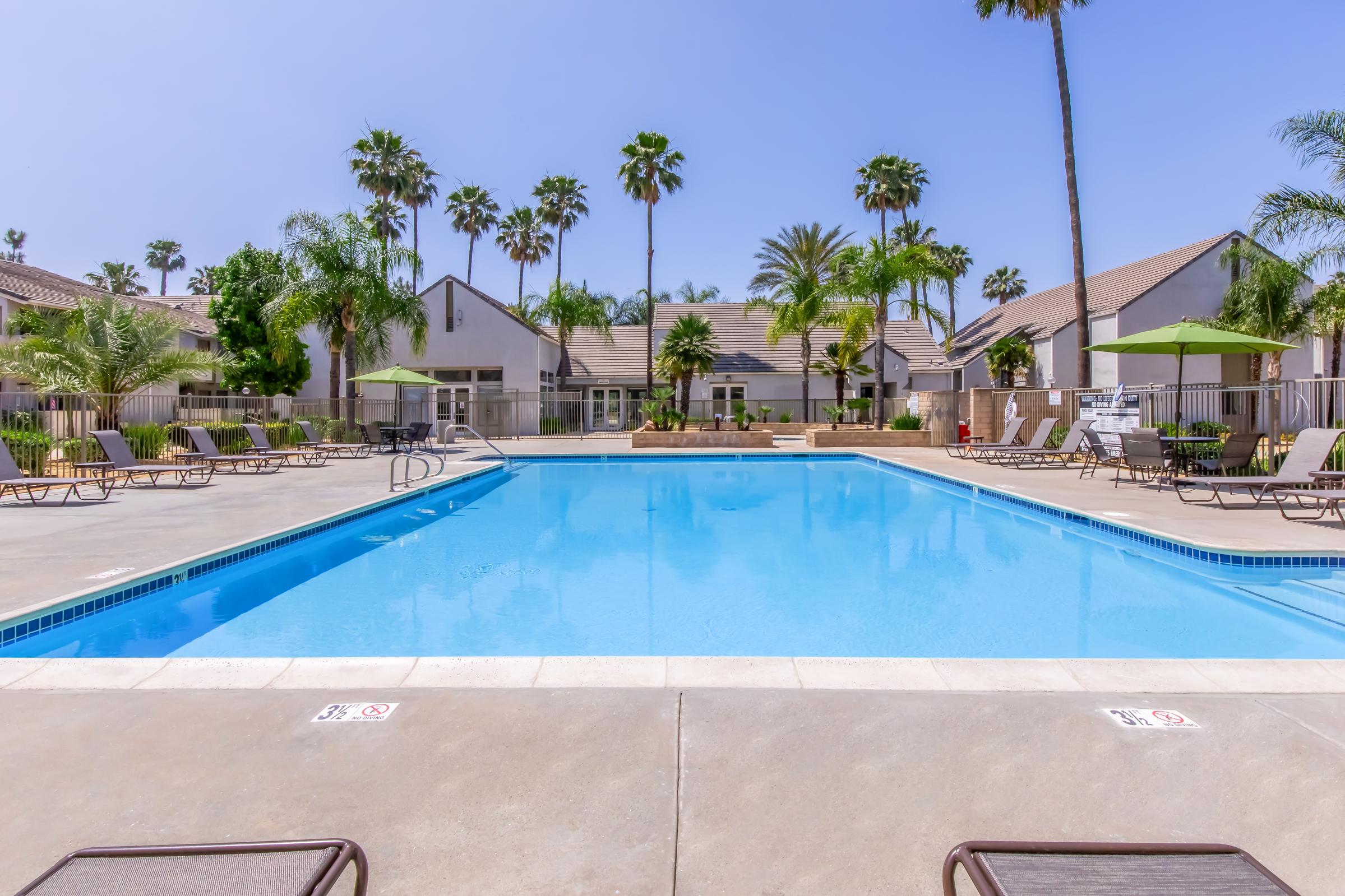 Bright blue swimming pool surrounded by lounge chairs and green umbrellas. Lush palm trees and well-maintained landscaping create a tropical atmosphere. In the background, there are residential buildings under a clear blue sky.