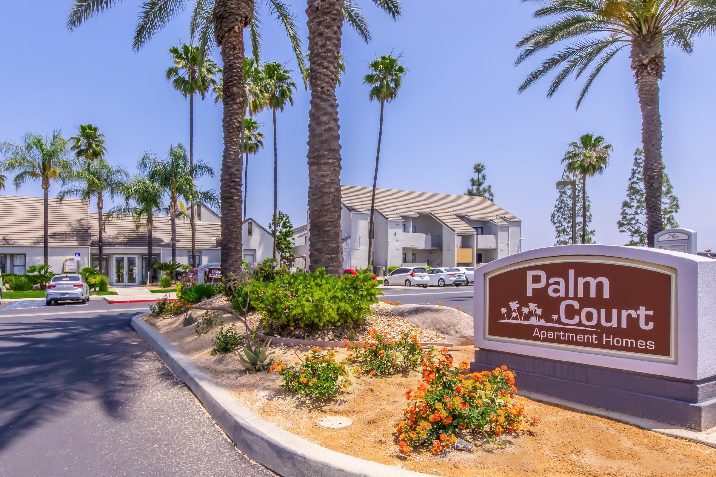 Entrance to Palm Court Apartment Homes, featuring a landscaped area with palm trees, blooming flowers, and a sign. The background shows several apartment buildings and parked cars under clear blue skies, creating a welcoming residential atmosphere.
