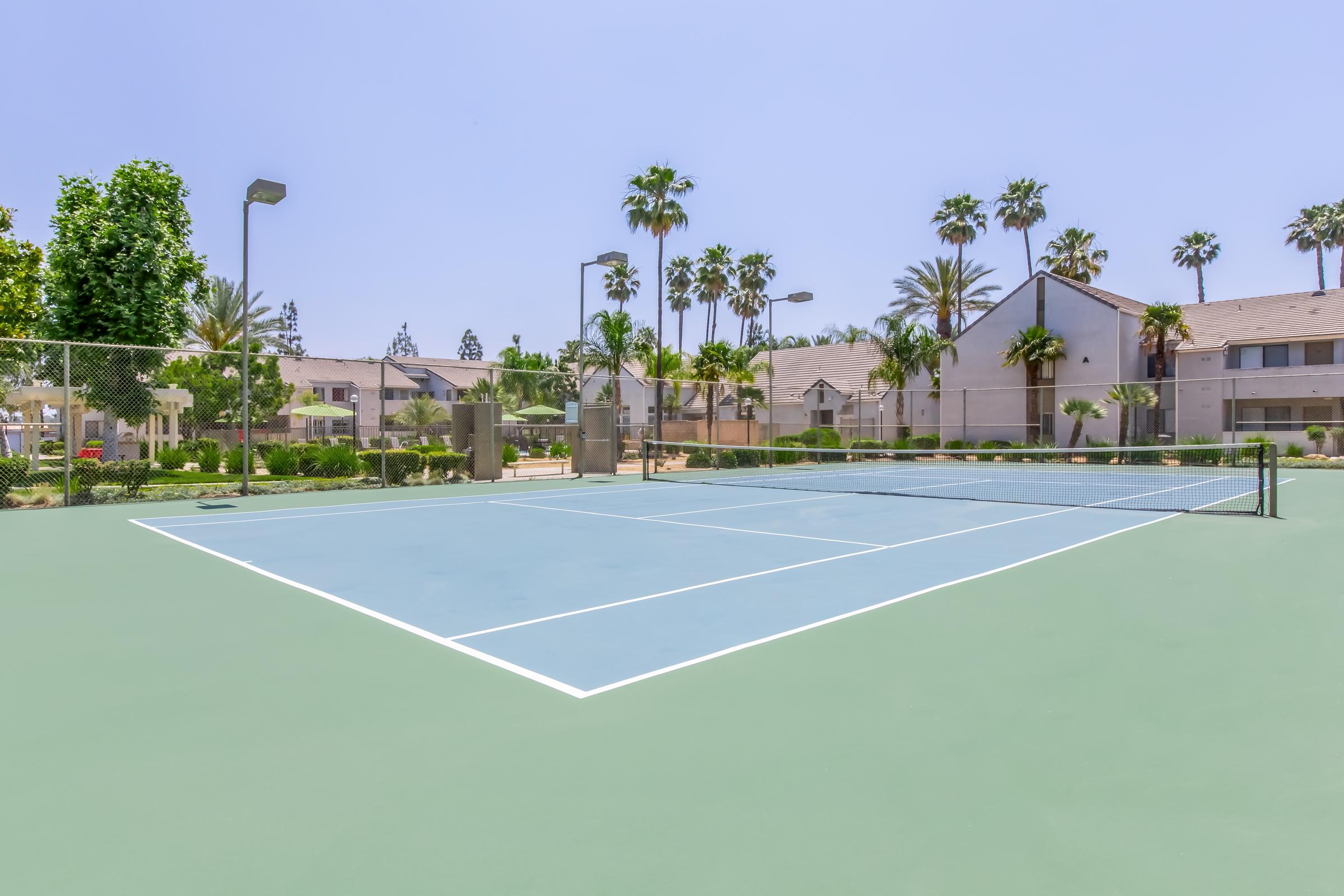 A sunny tennis court surrounded by palm trees and residential buildings. The court features a blue surface with white lines and a net in the center. The sky is clear and bright, creating a welcoming atmosphere for outdoor sports.