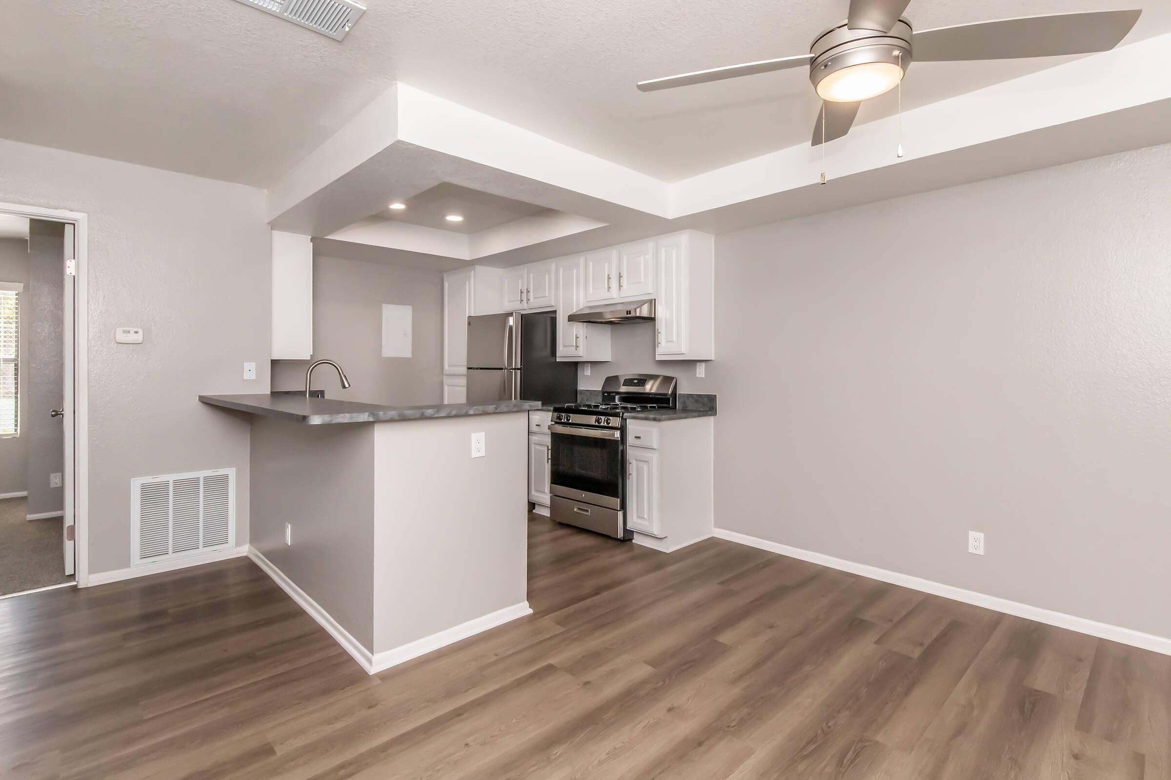 Modern kitchen and living area featuring stainless steel appliances, a ceiling fan, and light-colored cabinetry. The space has a smooth, dark countertop and is accented by light gray walls and wood-like flooring, creating a bright and open atmosphere.