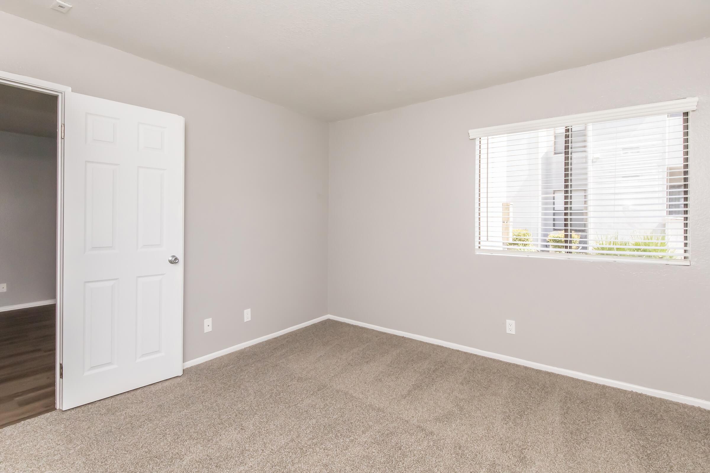 A spacious, empty room with light gray walls and carpet. It features a closed door on the left and a window with blinds on the right, allowing natural light to enter. The floor is bare except for the carpet, creating a simple and uncluttered space.