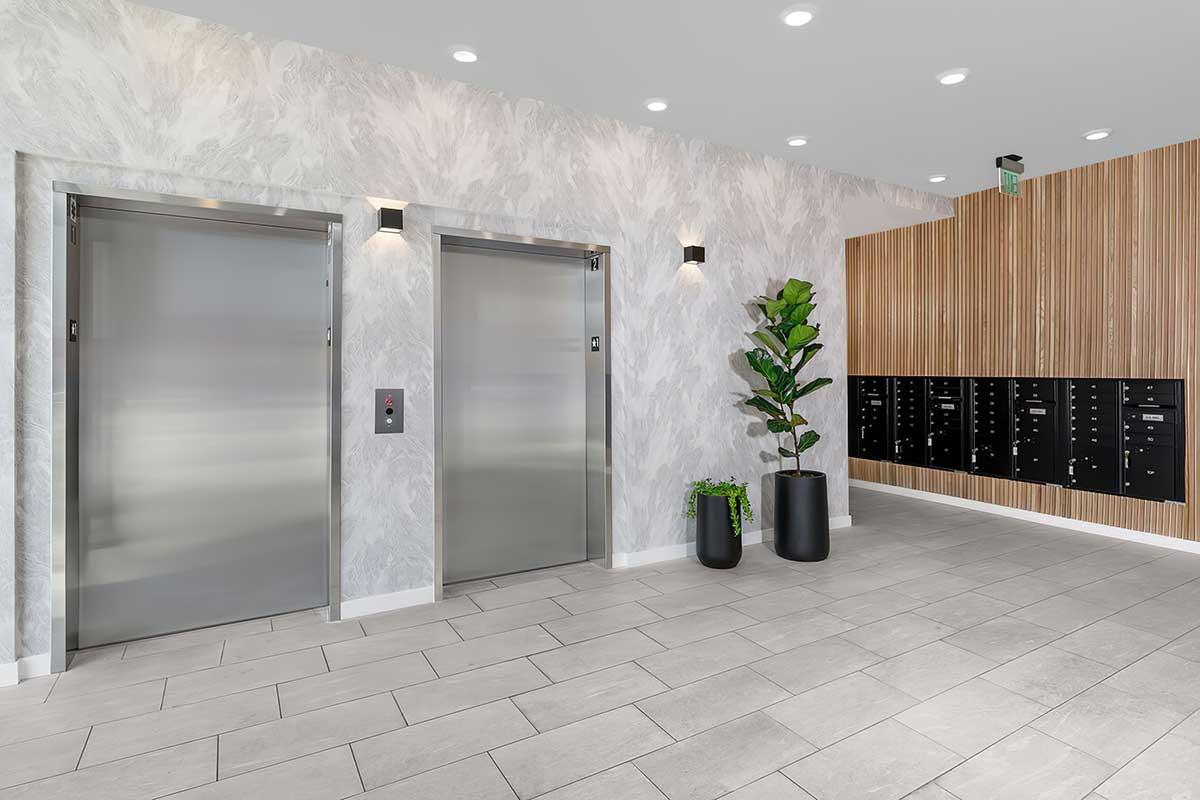 Modern interior of a lobby featuring two metallic elevators against a textured wall. There is a tall plant in a black pot beside the elevators.