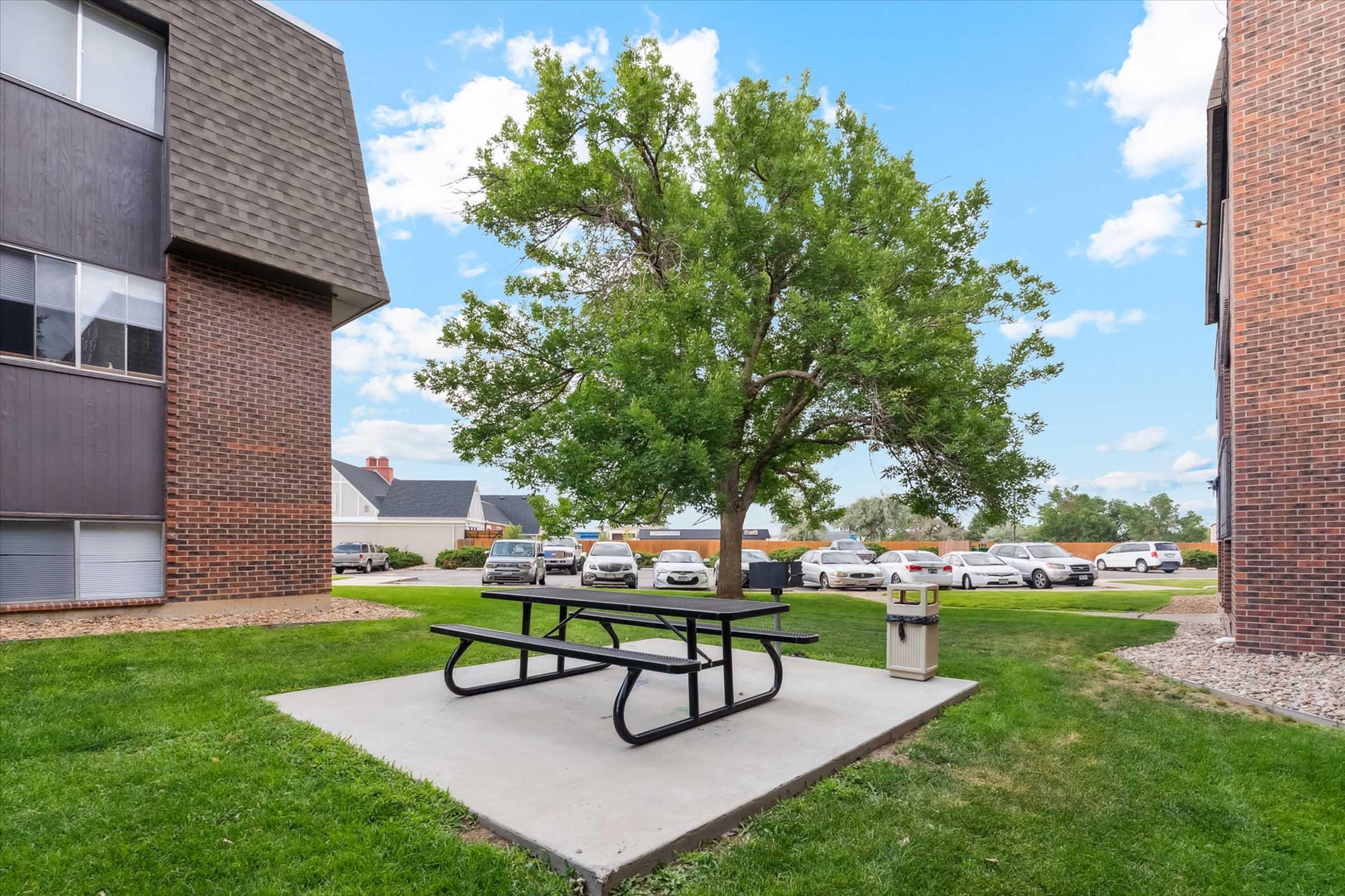 A picnic table sits on a concrete pad under a tree in a grassy area surrounded by residential buildings. In the background, several parked cars are visible, and the sky is partly cloudy.