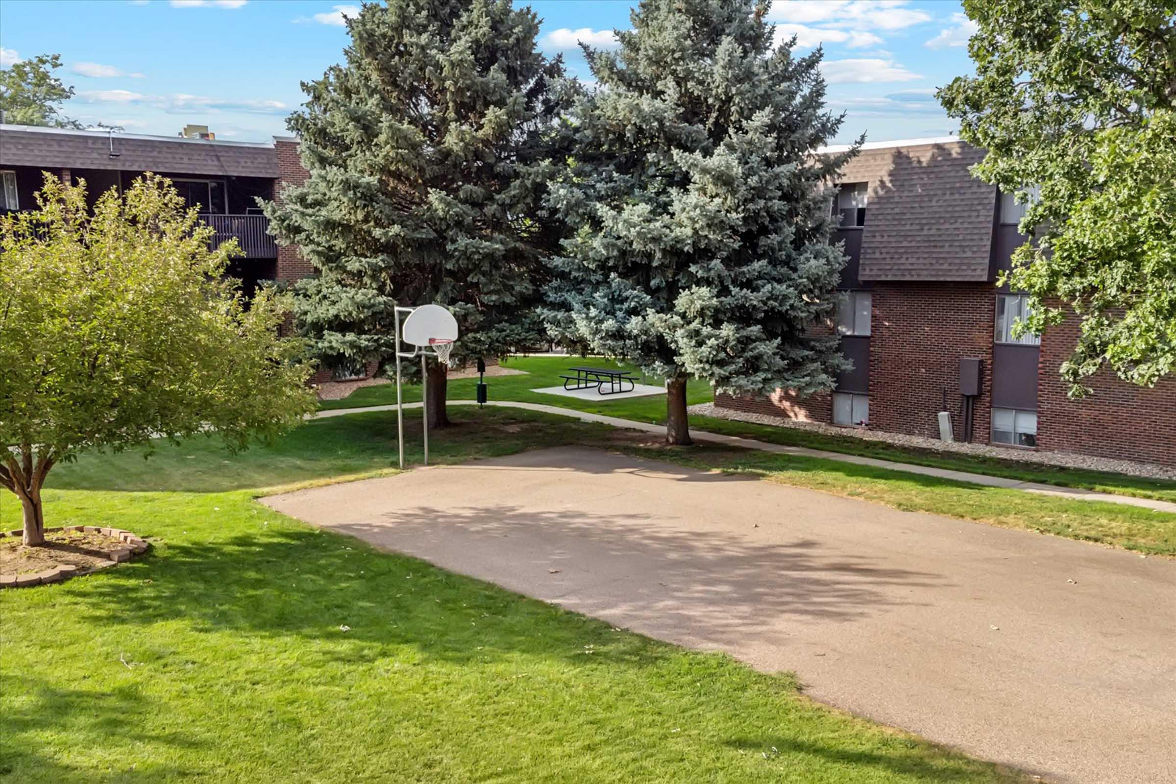 A view of a park-like area featuring a basketball hoop, grassy lawns, and tall trees. In the background, there are brick apartment buildings. The scene is bright and sunny, creating a serene outdoor environment suitable for recreational activities.