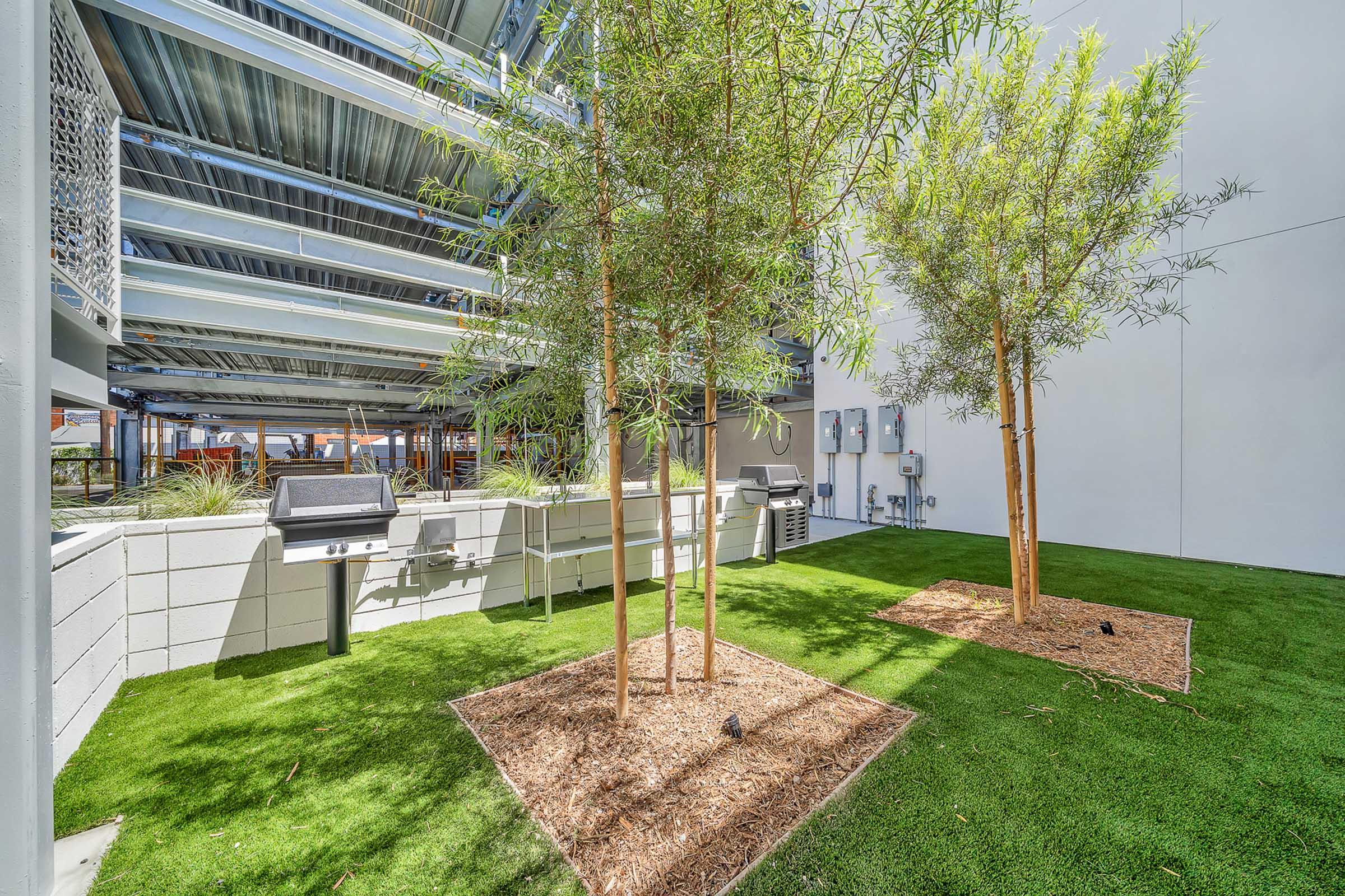 A landscaped outdoor area featuring two tall trees planted in a green lawn, surrounded by mulch. There are several outdoor grills along a gray wall, and the space has a modern industrial design with metal framework overhead. Ideal for social gatherings or barbecues.