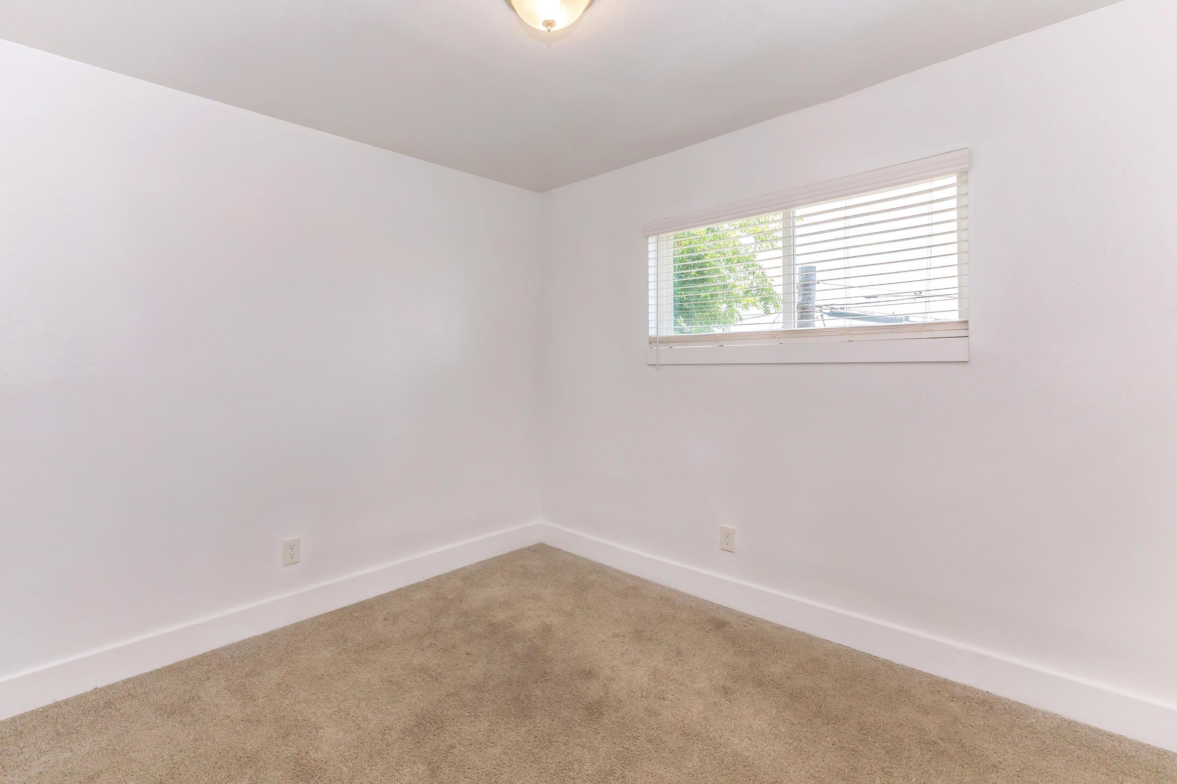 Empty room with light beige carpet, white walls, and a single window with blinds. The space is well-lit, featuring a ceiling light fixture. There are no furnishings, giving it a clean and minimalist appearance.