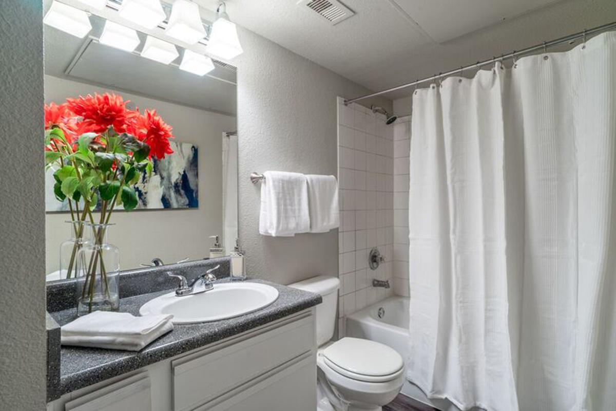 Wendy Rae Walker - bathroom.jpg