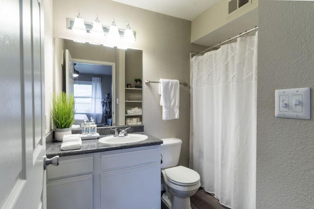 Wendy Rae Walker - bathroom2.jpg