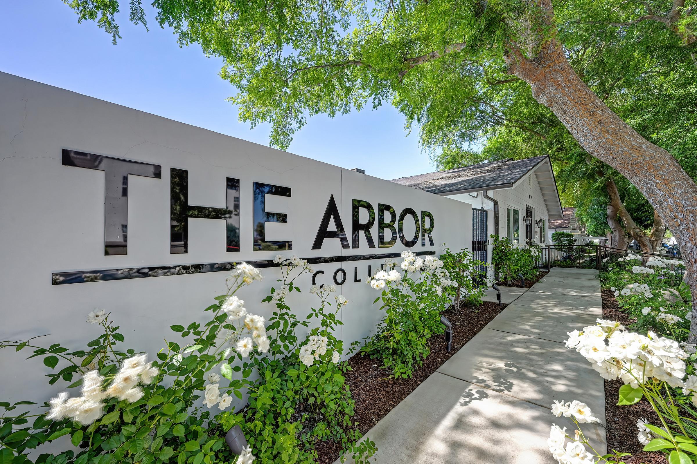 A well-lit entrance to The Arbor College, featuring a modern sign with the college name prominently displayed. Lush greenery and white flowers line the pathway leading to the building, which has a charming design under a clear blue sky.