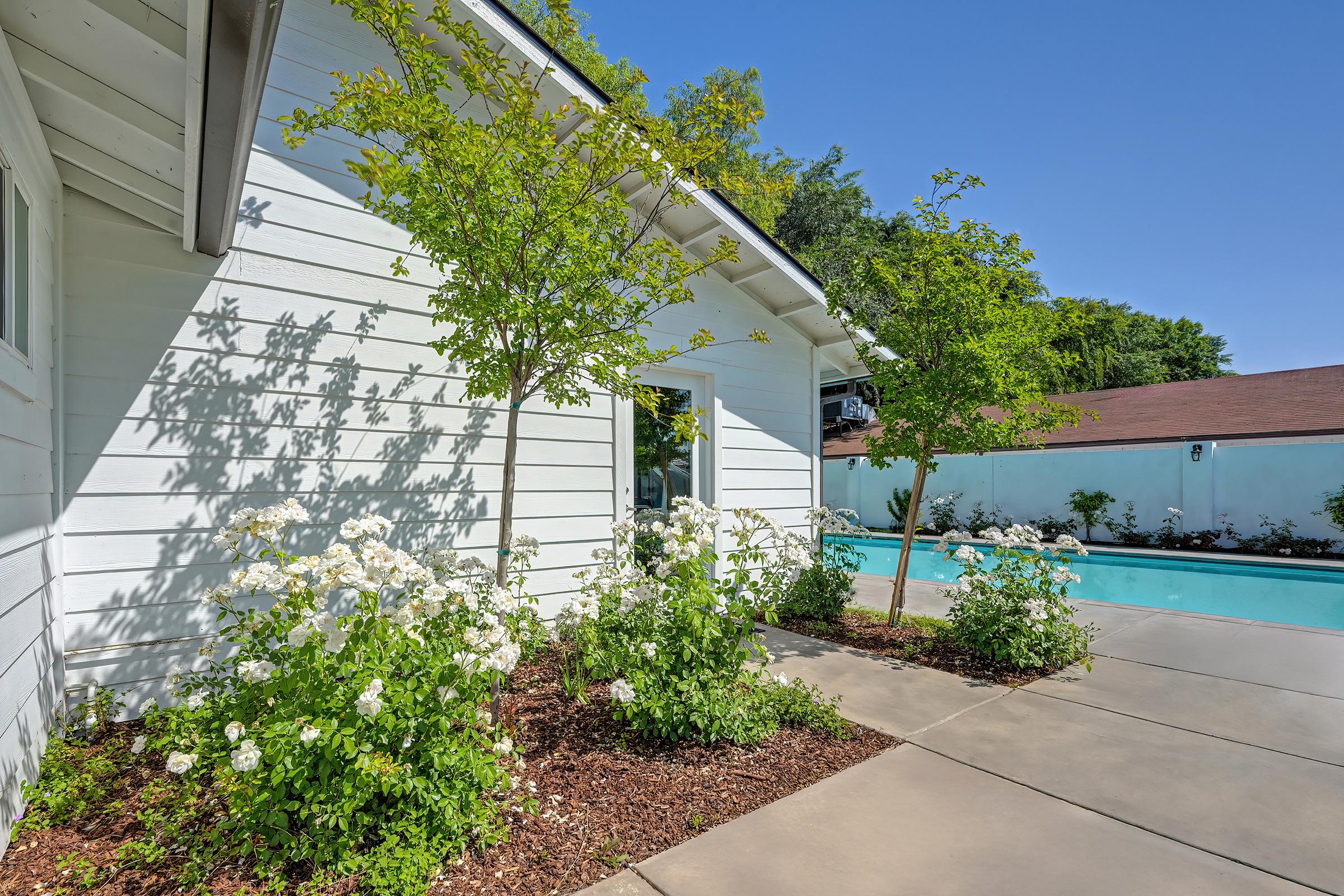 A view of a modern house with white siding, featuring a well-maintained garden with blooming white roses and green shrubs. The patio is made of concrete, leading to a serene swimming pool with clear blue water, surrounded by trees and a sunny sky.