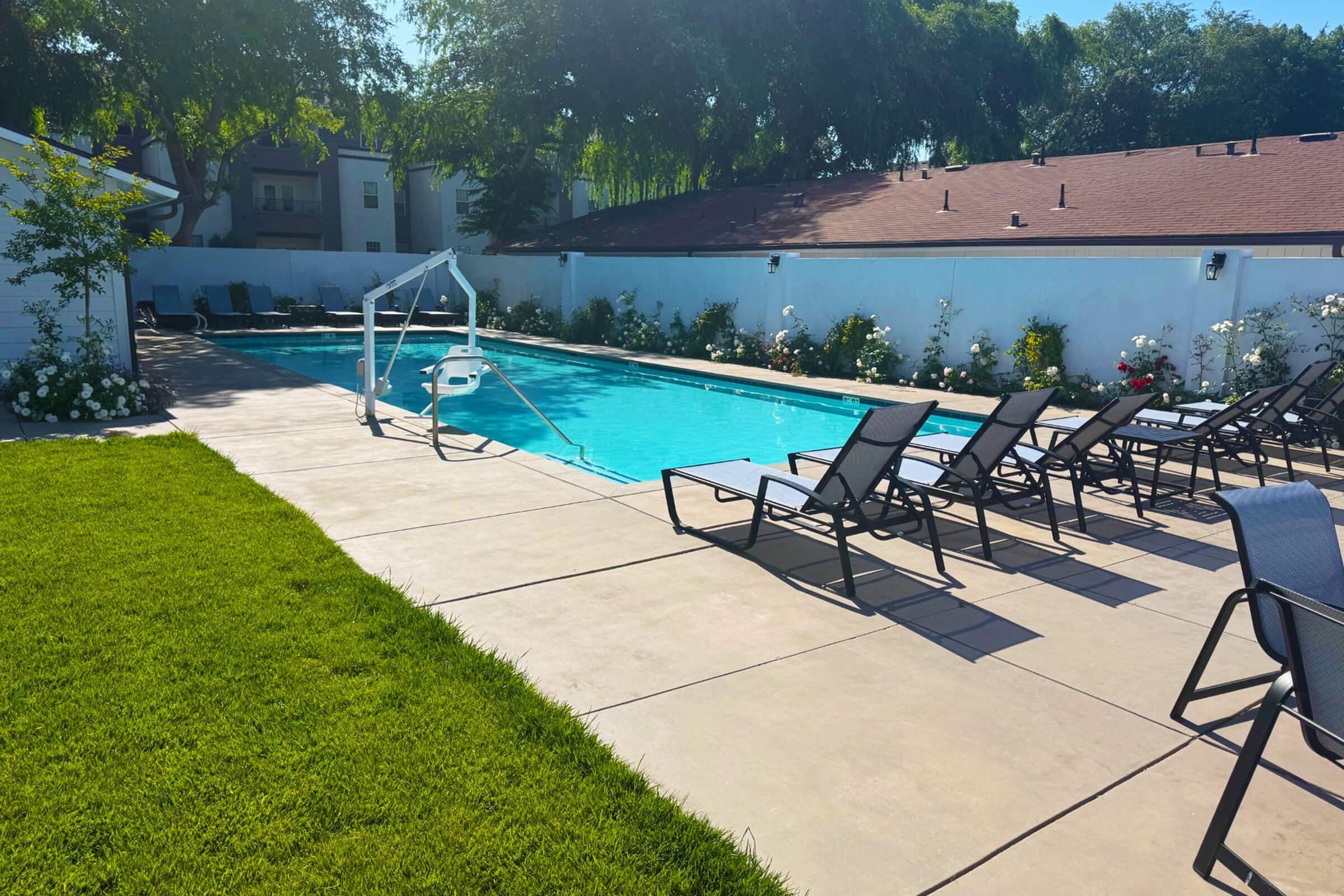 A sunny outdoor pool area featuring a clear blue pool surrounded by lounge chairs. Lush green grass lines the edge, and blooming white roses decorate the poolside. The background includes a white wall and trees, creating a serene setting for relaxation.
