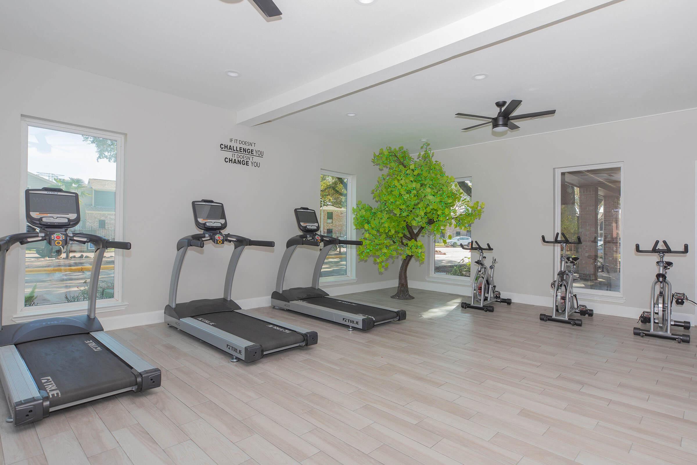 A modern gym interior featuring three treadmills and several stationary bikes. Large windows let in natural light, enhancing the bright atmosphere. A decorative green tree adds a touch of nature to the space. The walls are painted in neutral tones, creating a clean and inviting environment for fitness activities.