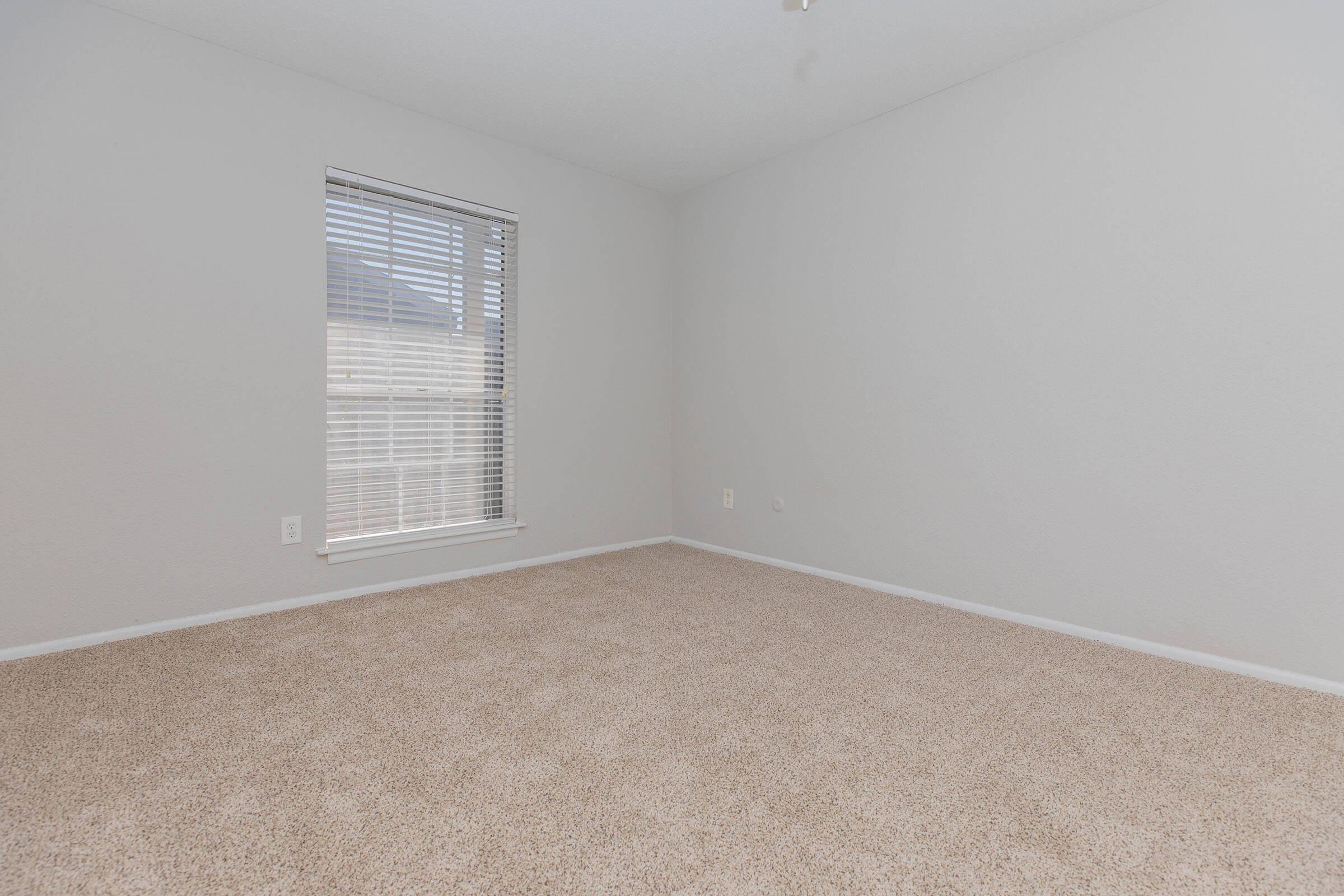 A vacant room with light beige carpet and gray walls. It features a window with blinds allowing natural light, but no furniture or decorations. The overall ambiance is bright and neutral, providing a blank slate for potential furnishing or decoration.