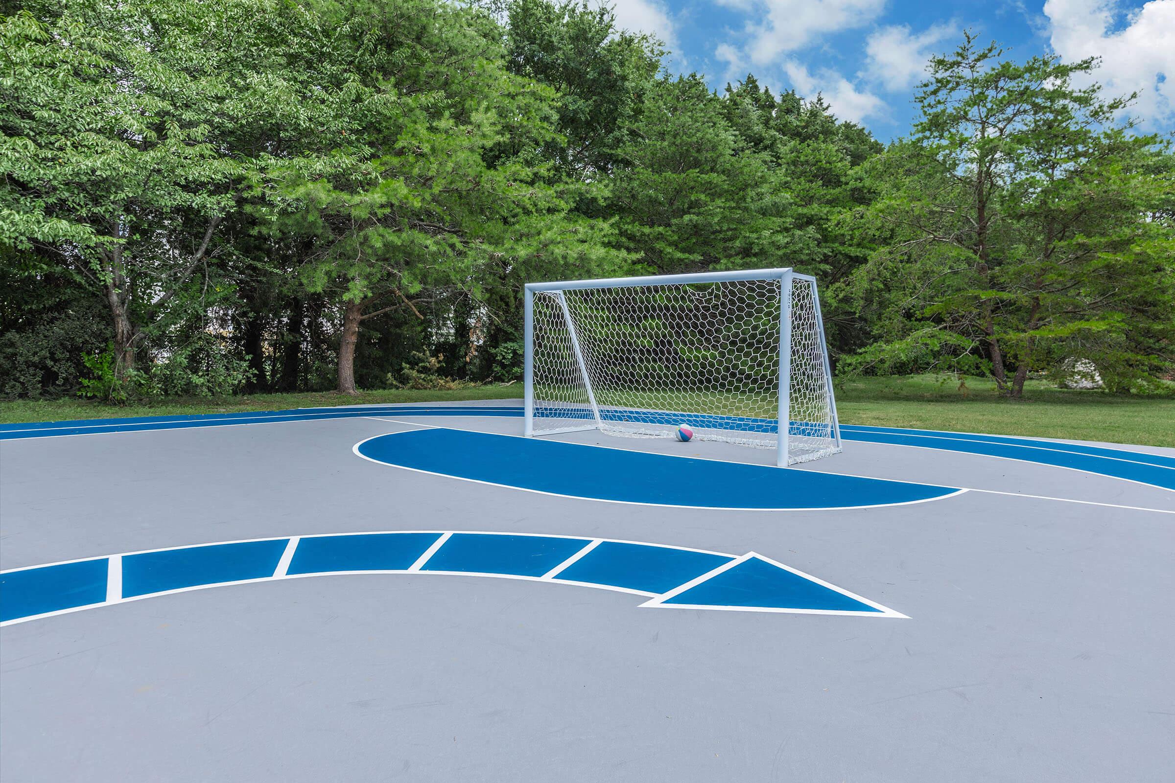 Soccer Court at The Dutton