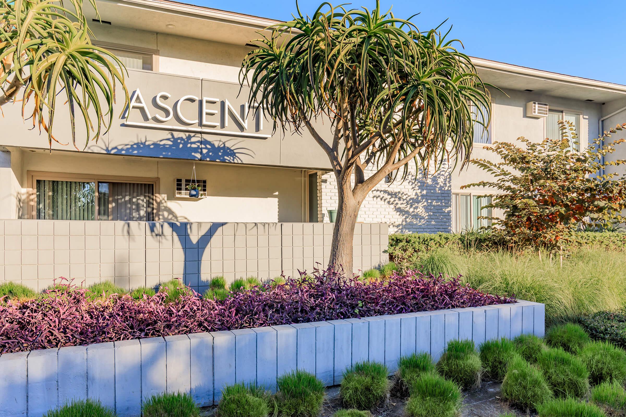 a close up of a flower garden in front of a building