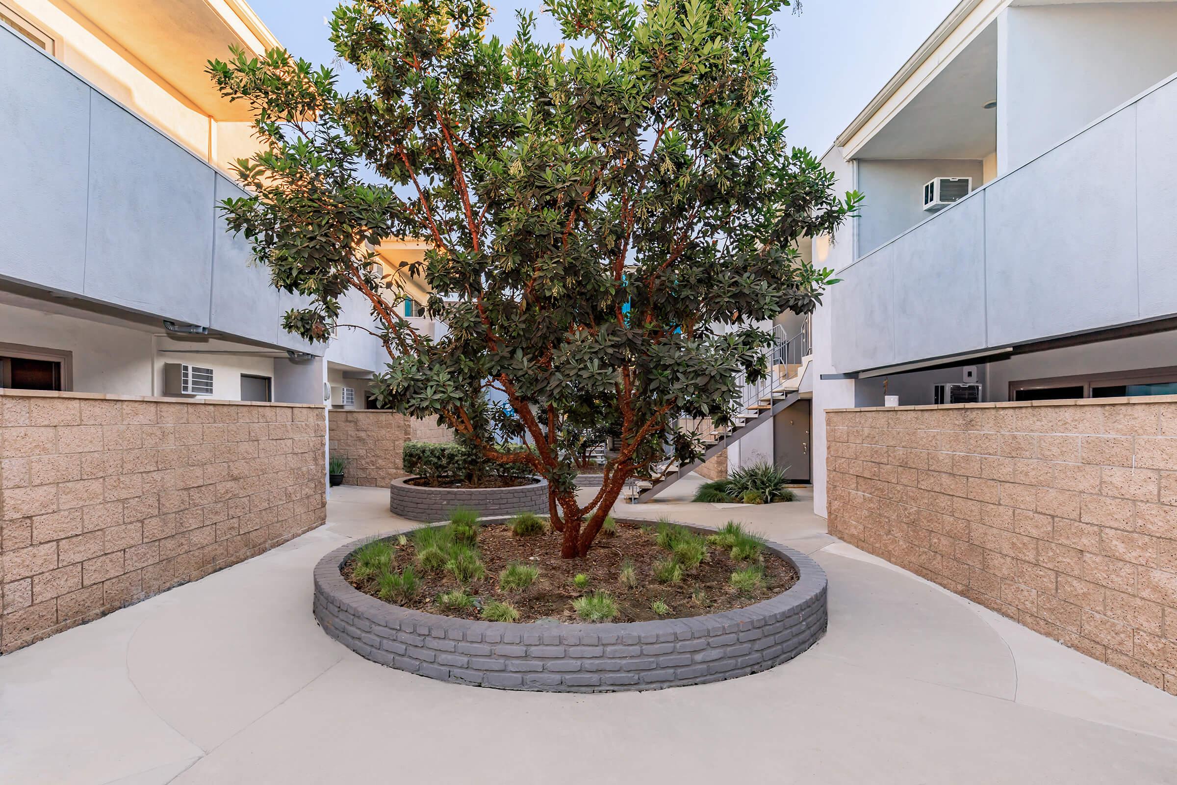 a tree in front of a brick building