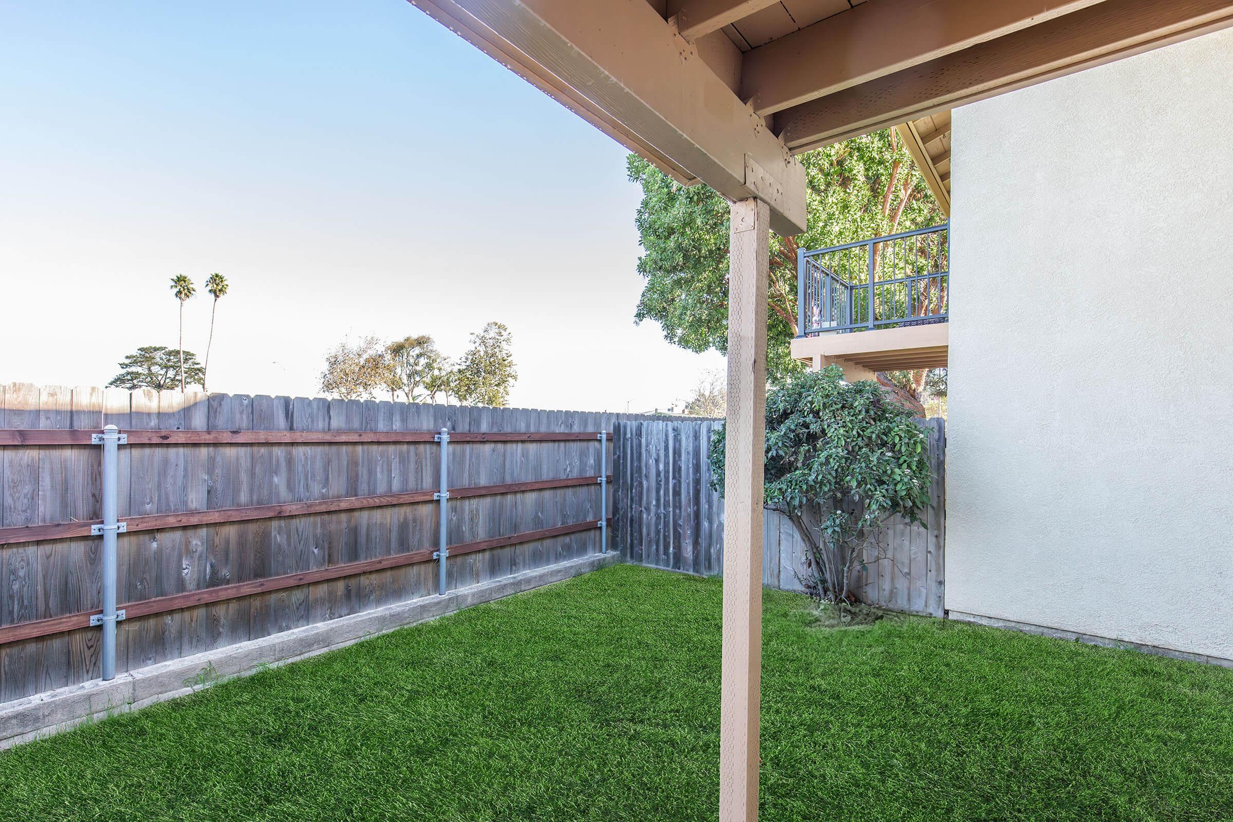 View of a small backyard featuring a green lawn, a wooden fence in the background, and a small tree. The scene is sunny with clear skies and a building visible in the upper right corner.