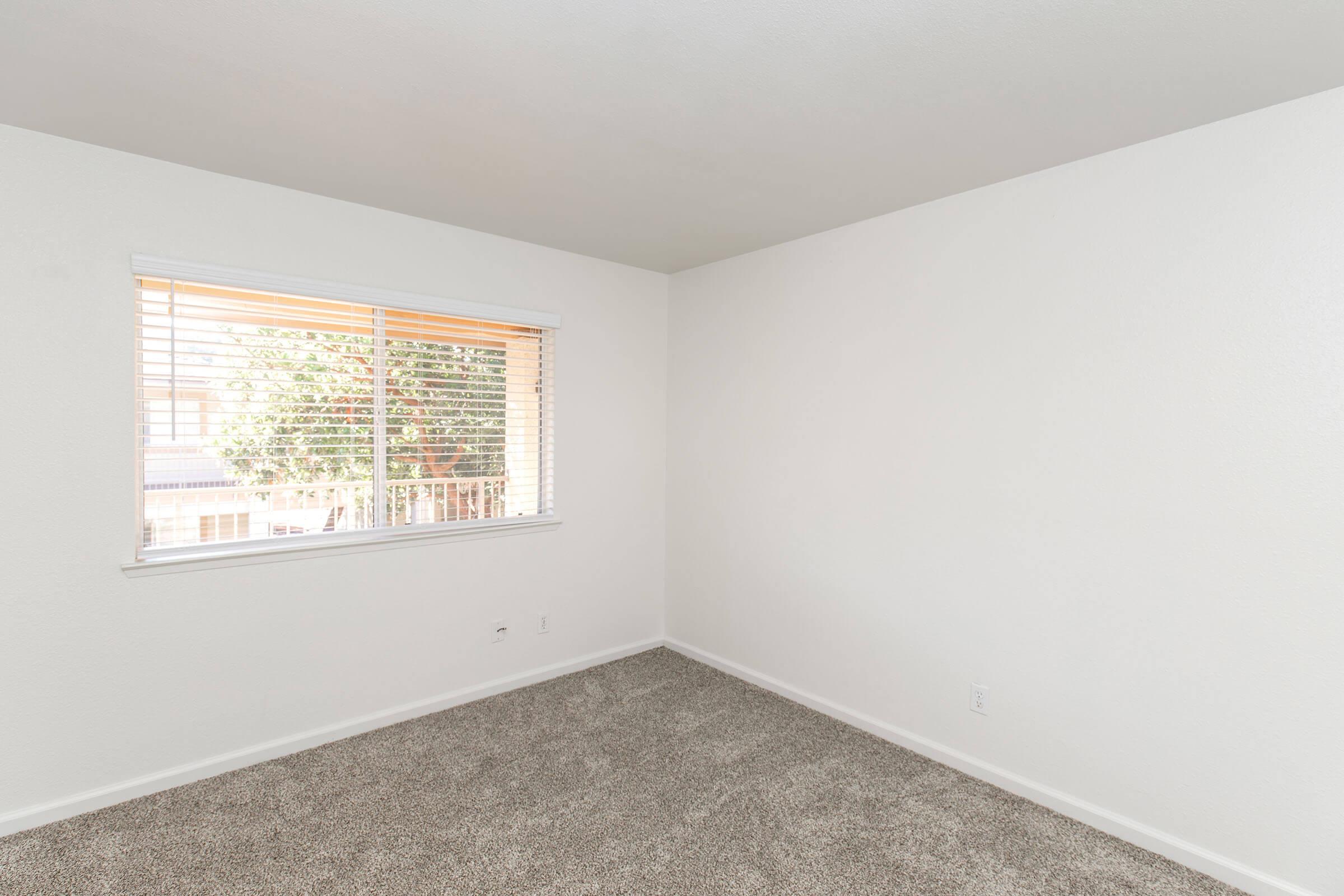 Empty room with light-colored walls and carpet. A window with blinds allows natural light to enter, revealing greenery outside. The space is simple, with no furniture or decorations, creating a clean and minimalistic atmosphere.