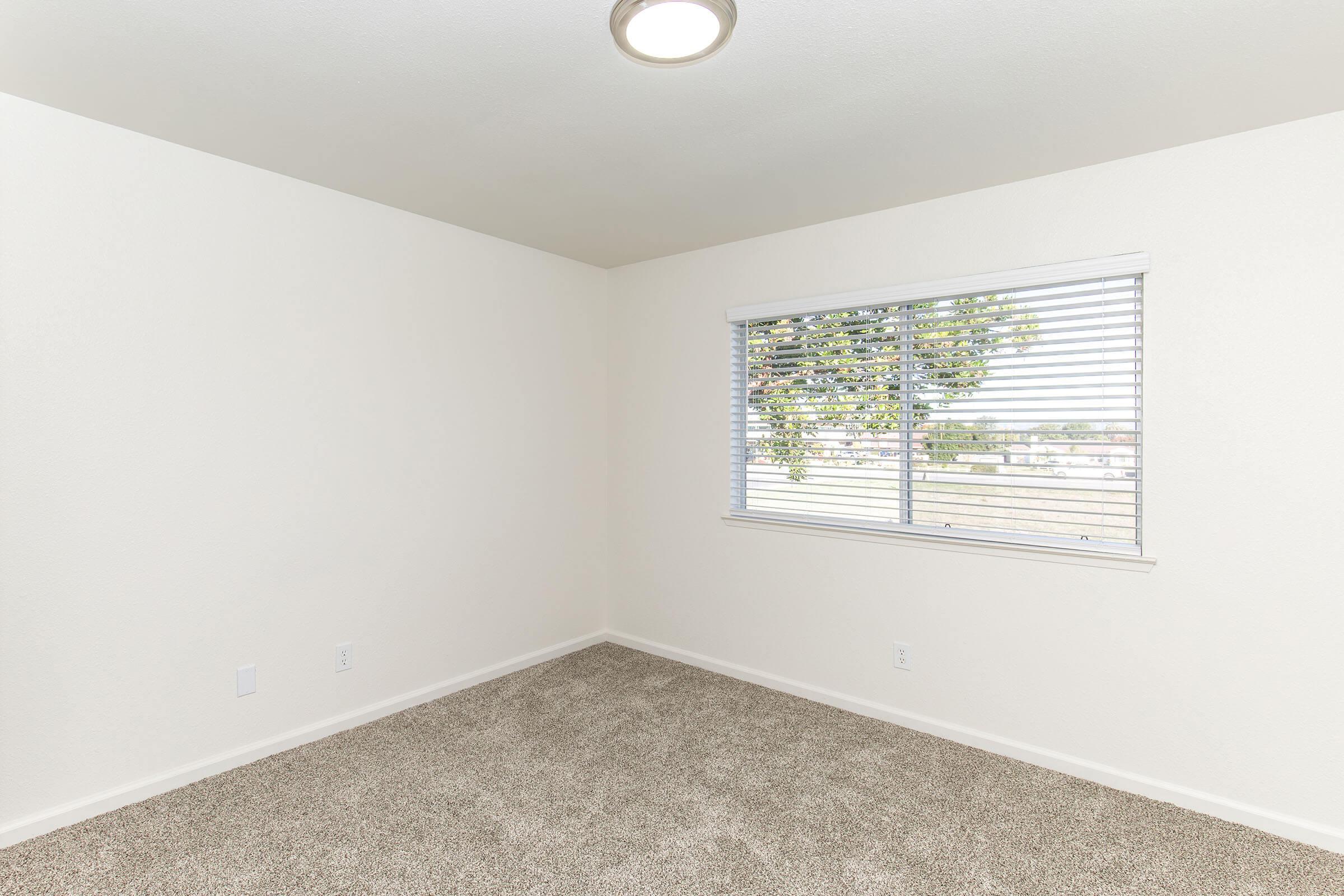 Empty room with light beige carpet and white walls. A window with blinds allows natural light, showcasing greenery outside. The ceiling features a simple light fixture, and there are no furnishings or decorations in the space.