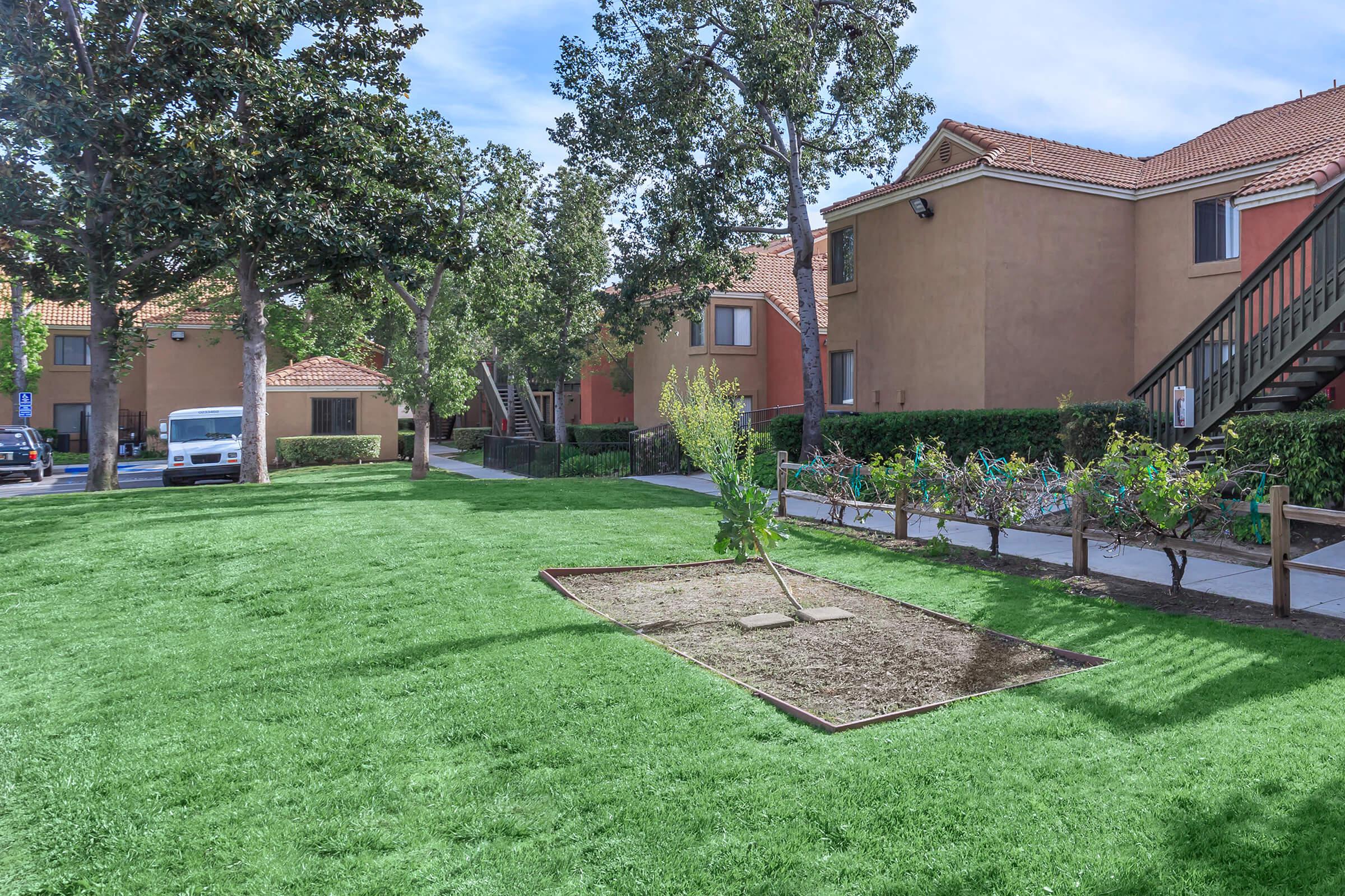 Community field with green plants