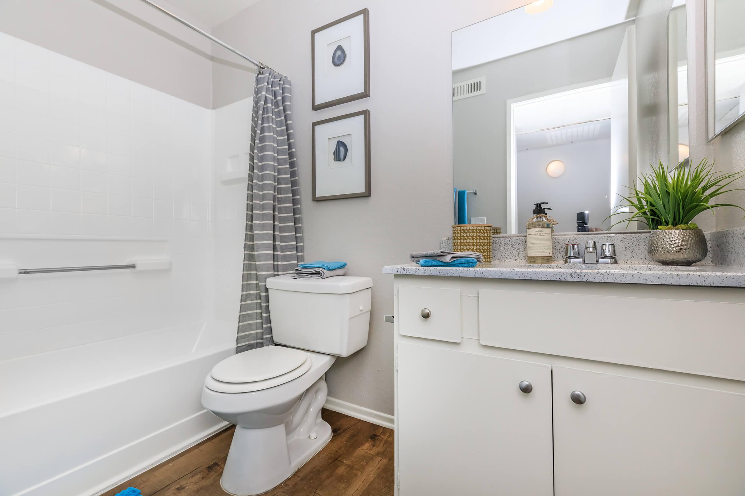 Furnished bathroom with black and white shower curtain