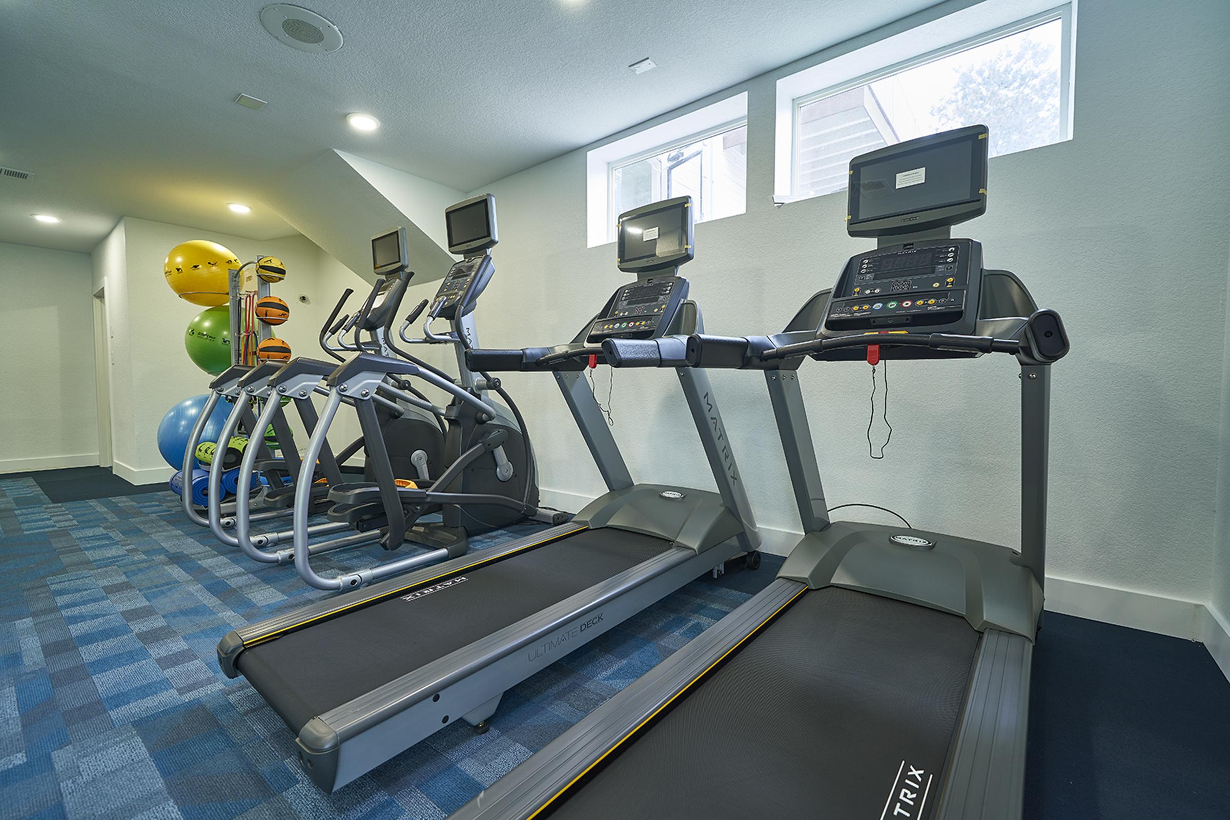A spacious fitness room featuring multiple treadmills and elliptical machines. Natural light streams in through large windows, and colorful exercise balls are stacked against the wall, creating an inviting atmosphere for workouts. The modern equipment is arranged neatly on a blue carpeted floor.
