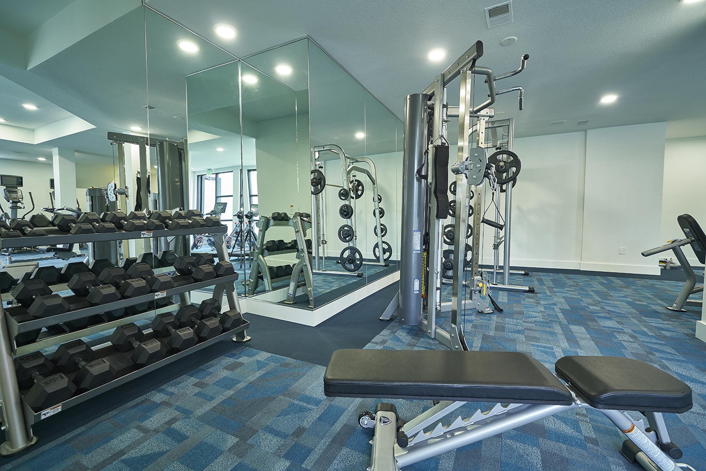 A modern gym interior featuring a variety of exercise equipment, including a rack of dumbbells, a weight bench, and a multi-use strength training machine. Large mirrors reflect the gym space, and the floor is covered with blue carpeting. Ample natural light fills the room.