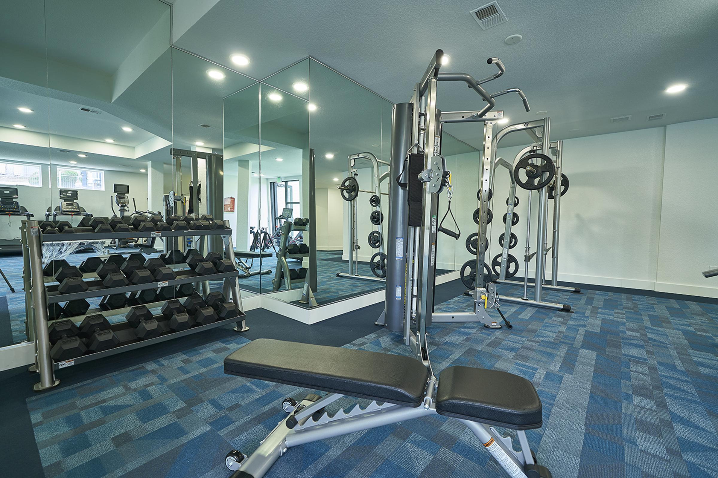 A modern gym interior featuring exercise equipment. There are free weights neatly arranged on a rack, a weight bench in the foreground, and multi-gym machines against the walls. Large mirrors reflect the workout area, and the floor has a blue patterned carpet. Natural light fills the space, creating an inviting atmosphere.