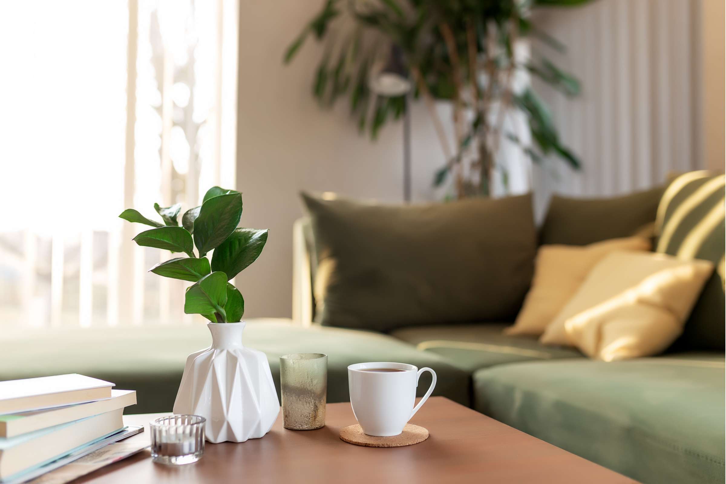 Apartment Features