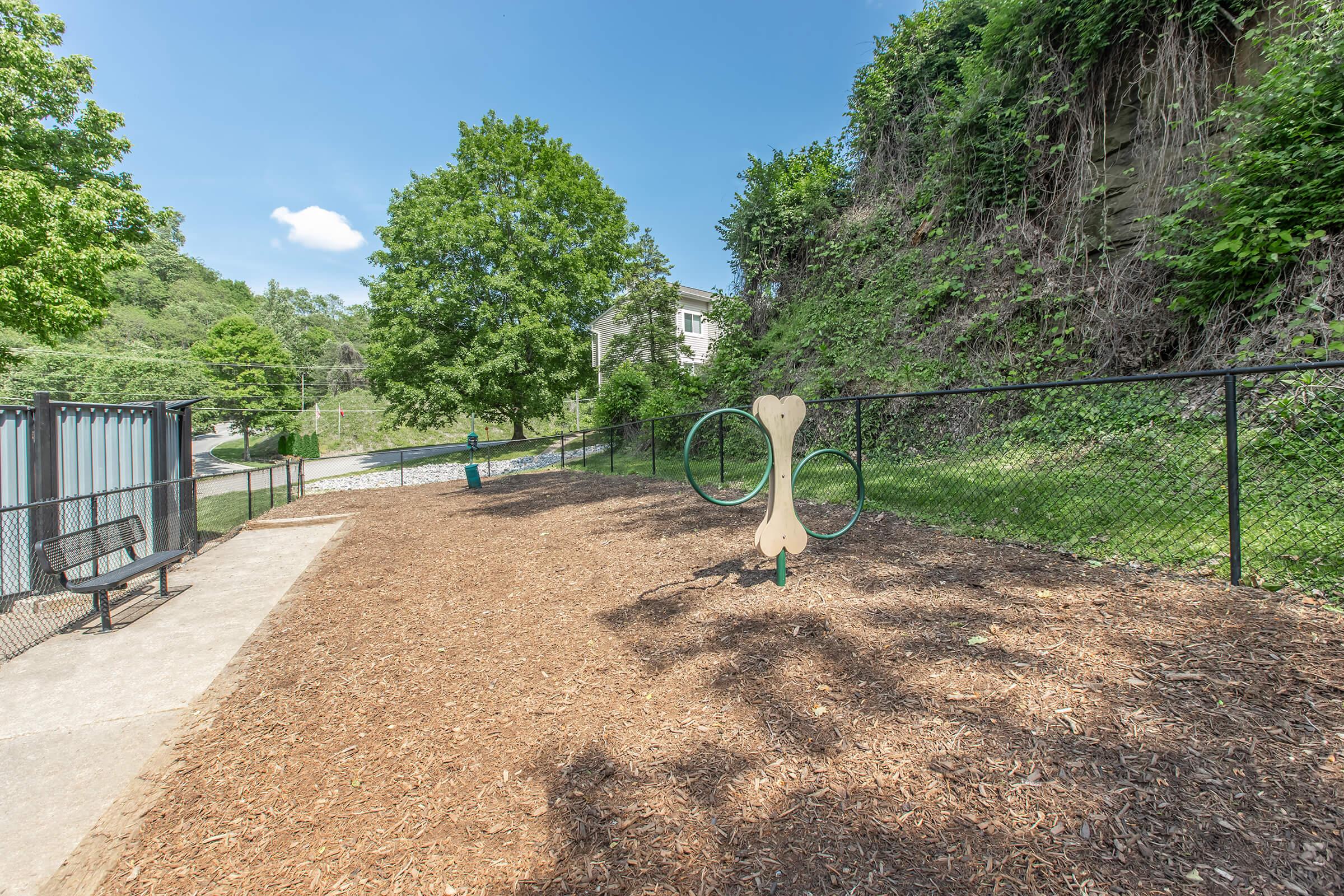 A spacious dog park featuring wood chips, grassy areas, and agility equipment. There are two large rings for dogs to jump through, surrounded by a fenced area with trees and a bench in the foreground. Clear blue skies and green foliage create a vibrant outdoor setting.